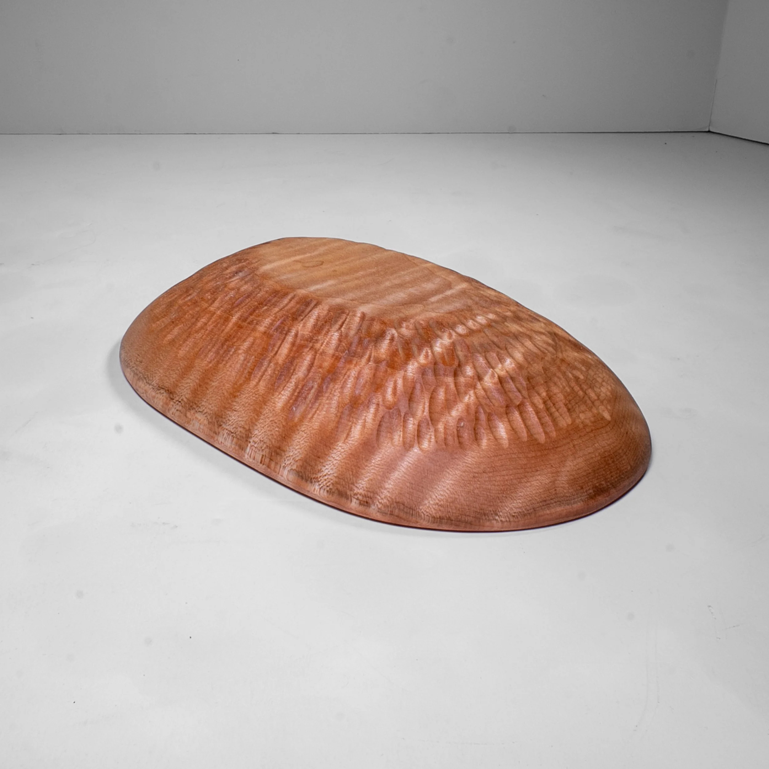 jpegs-14.jpg