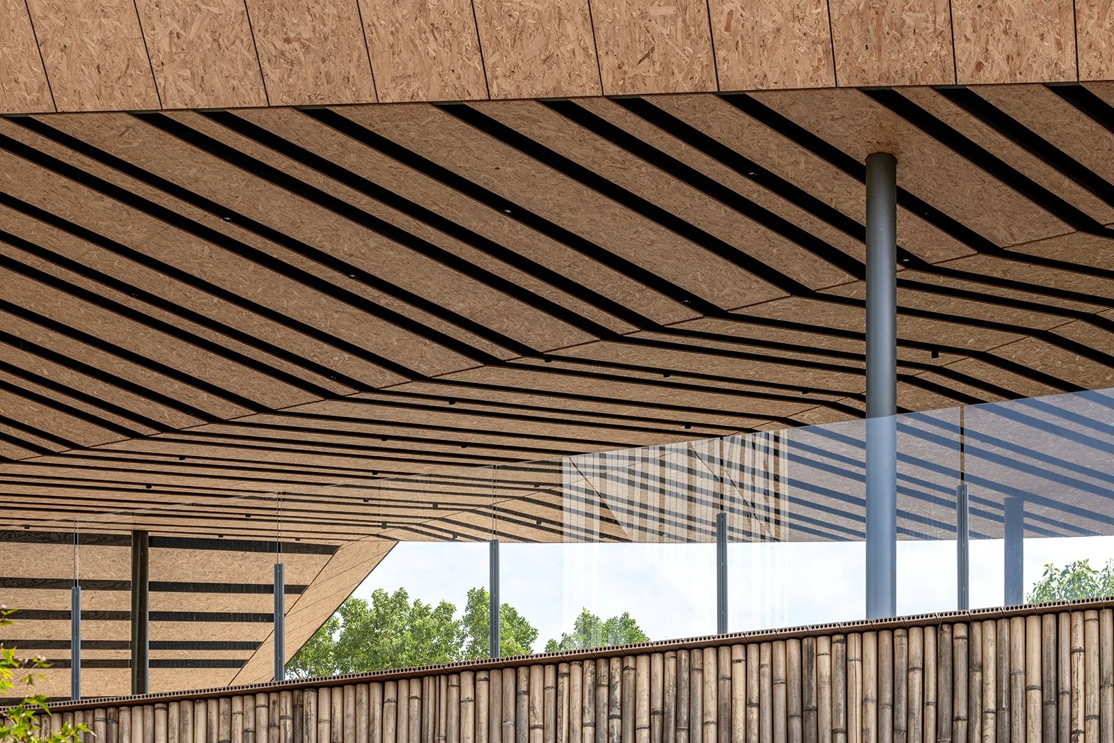 Copy of AAA02353-編輯.jpg