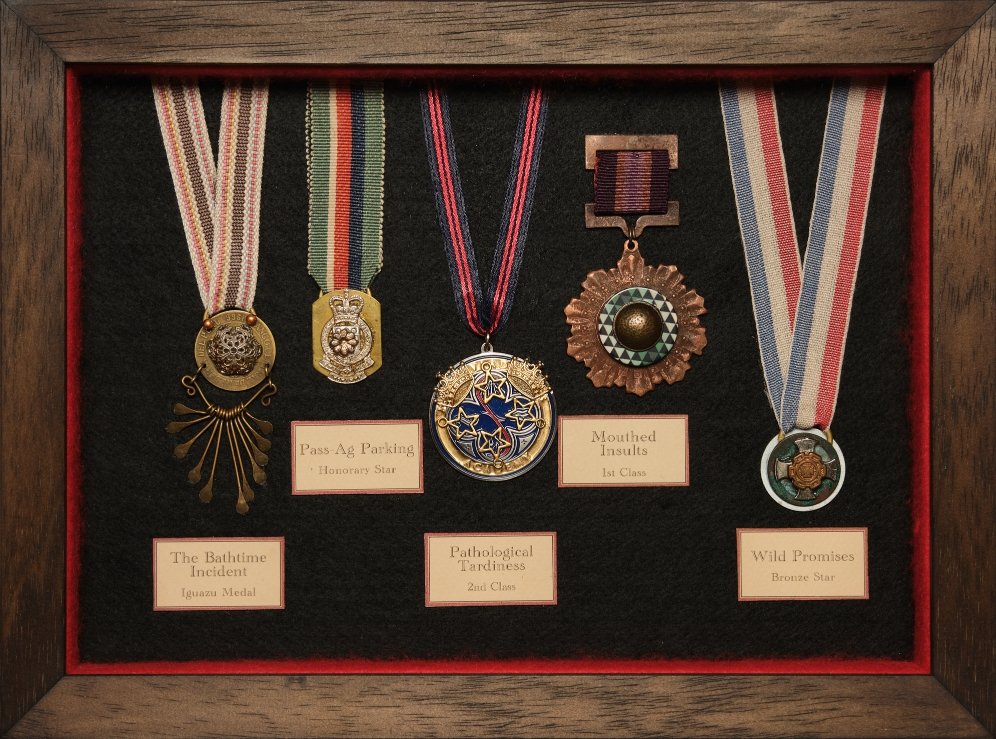   Medal Titles   The Bathtime Incident Pass Ag Parking  Pathological Tardiness  Mouthed Insults  Wild Promises    £665 + p&amp;p - click here to  visit the shop . On the order form drop-down for Medals, this is option #5.    