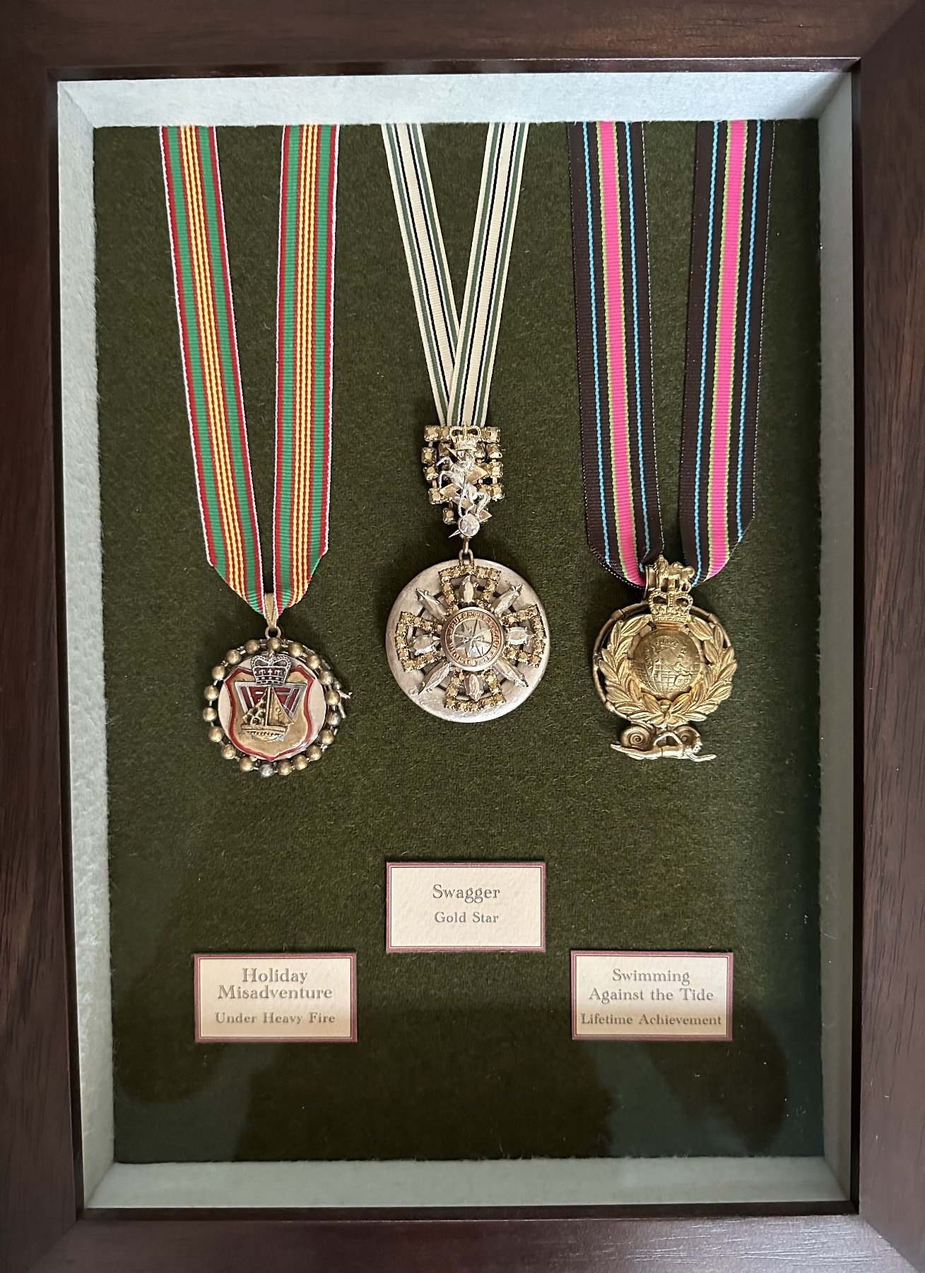 Medal Titles Holiday Misadventure Swagger Swimming Against the Tide £595 + p&p - click here to visit the shop . On the order form drop-down for Medals, select “#43”