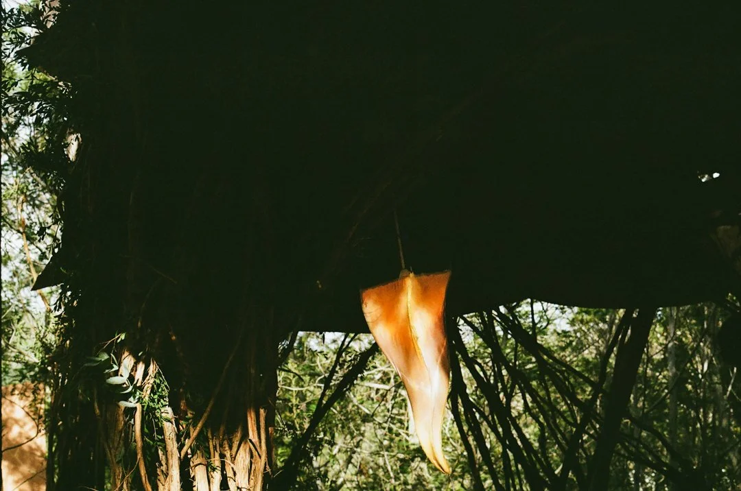 Pandora X Sav Baines-11.jpg