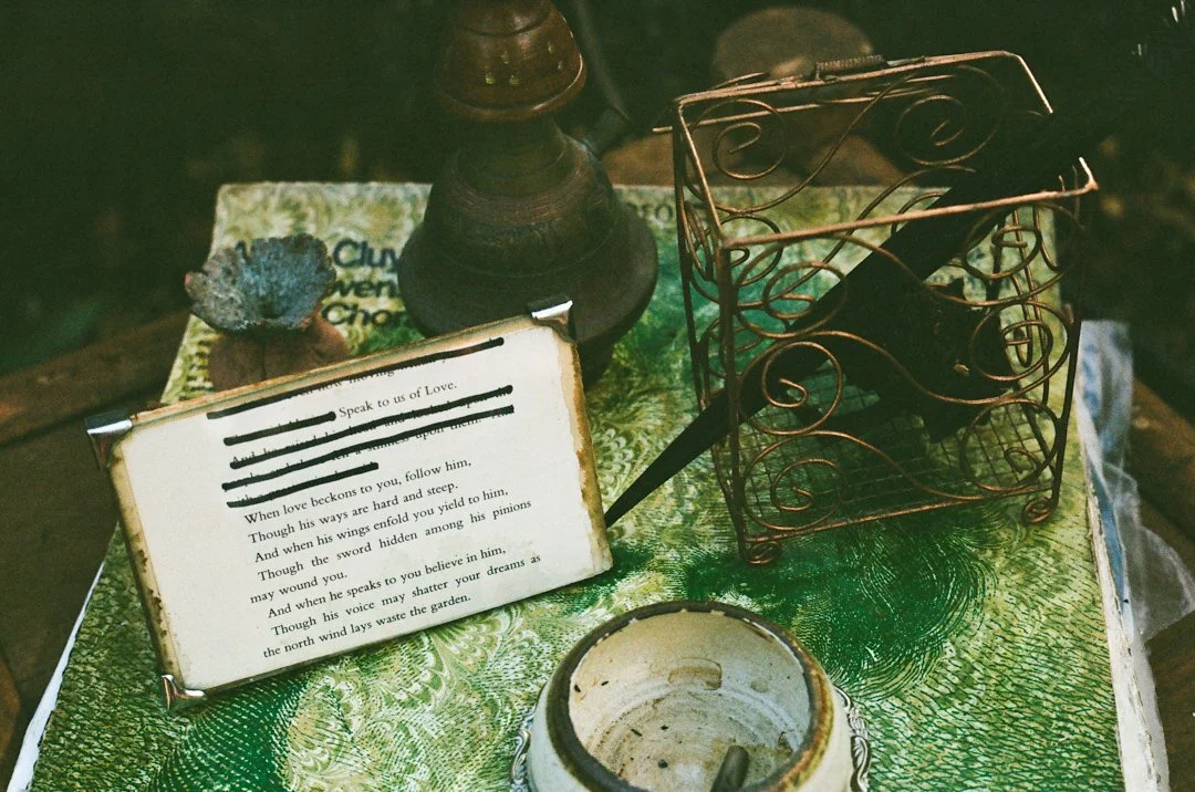 Pandora X Sav Baines-13.jpg