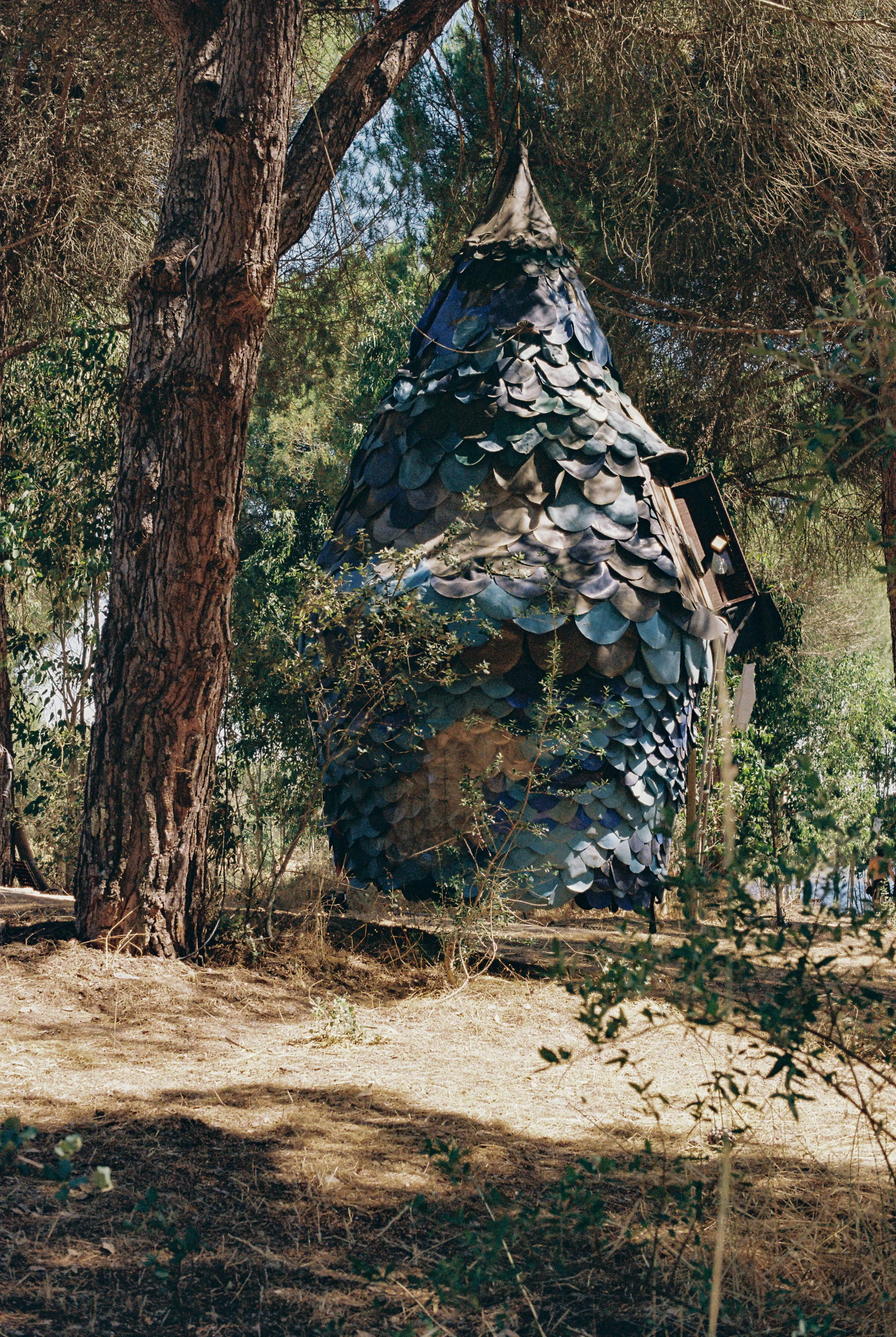 WL Build up + Film--10.jpg