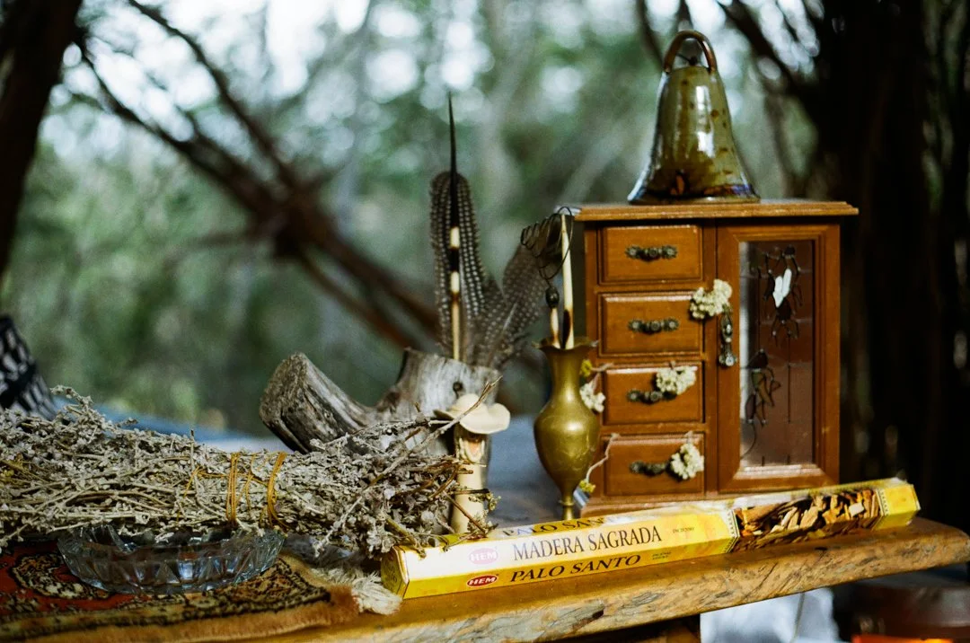 Pandora X Sav Baines-16.jpg