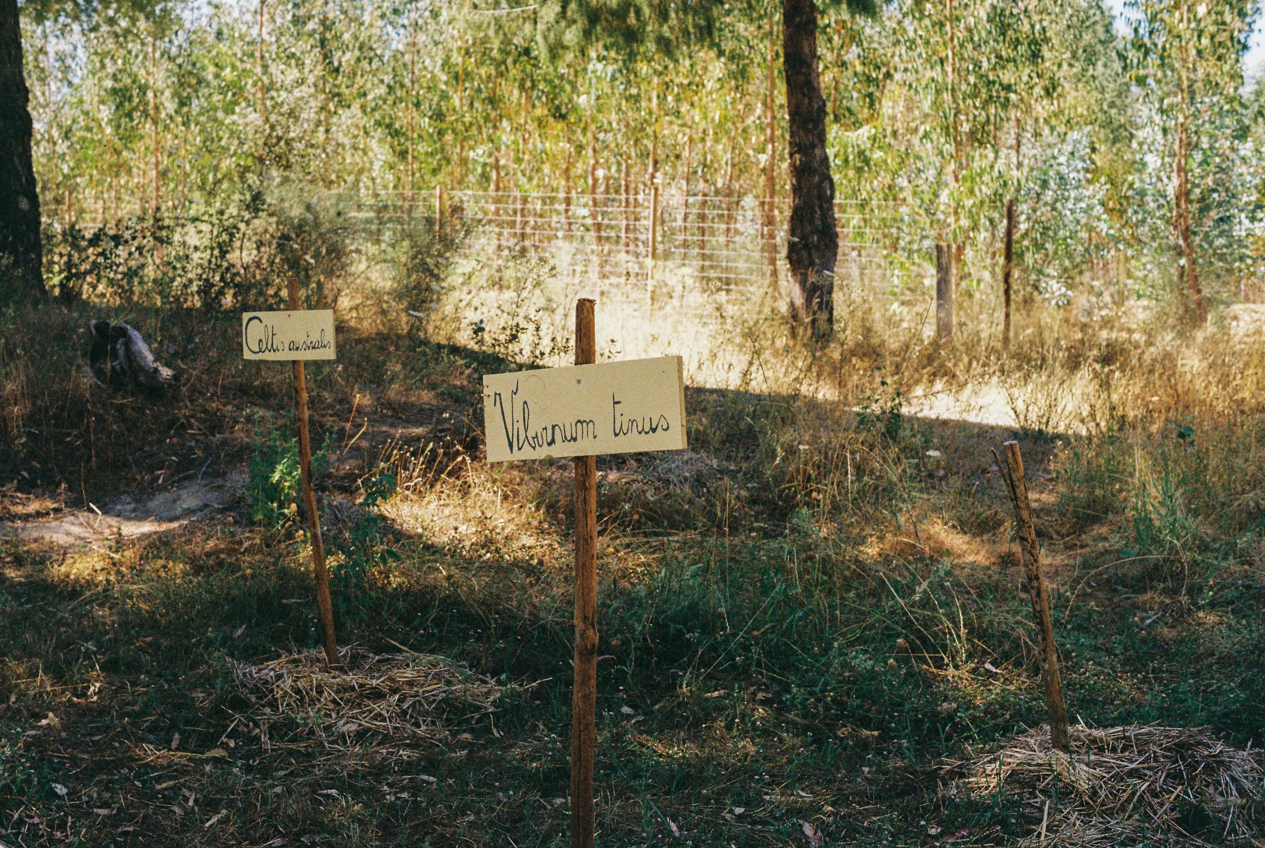 WL Build up + Film--9.jpg