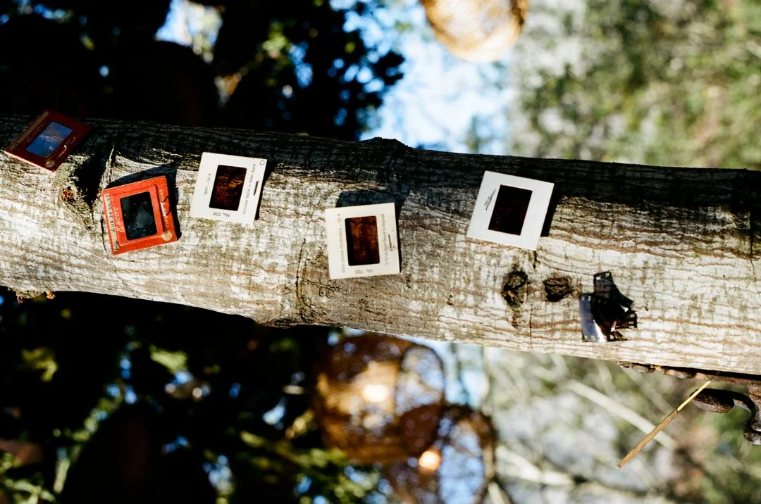 Pandora X Sav Baines-33.jpg