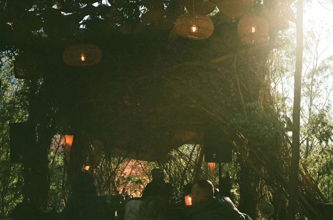 Pandora X Sav Baines-20.jpg