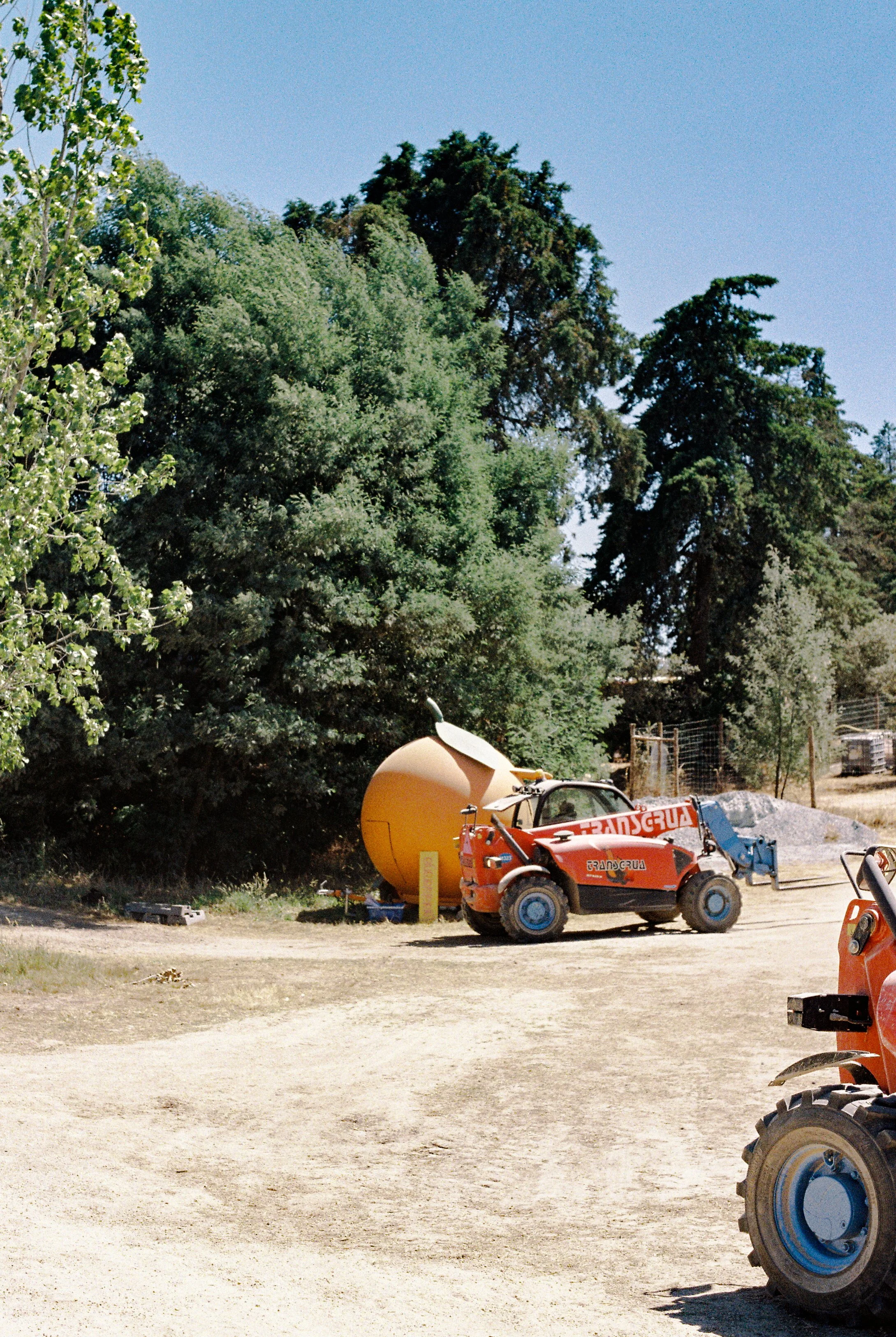 WL Build up + Film--2.jpg