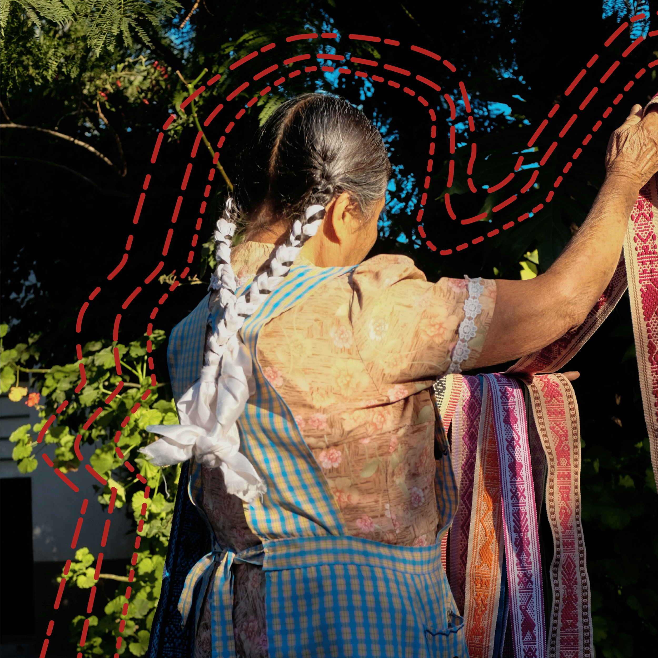 woman braids-1 (2).png