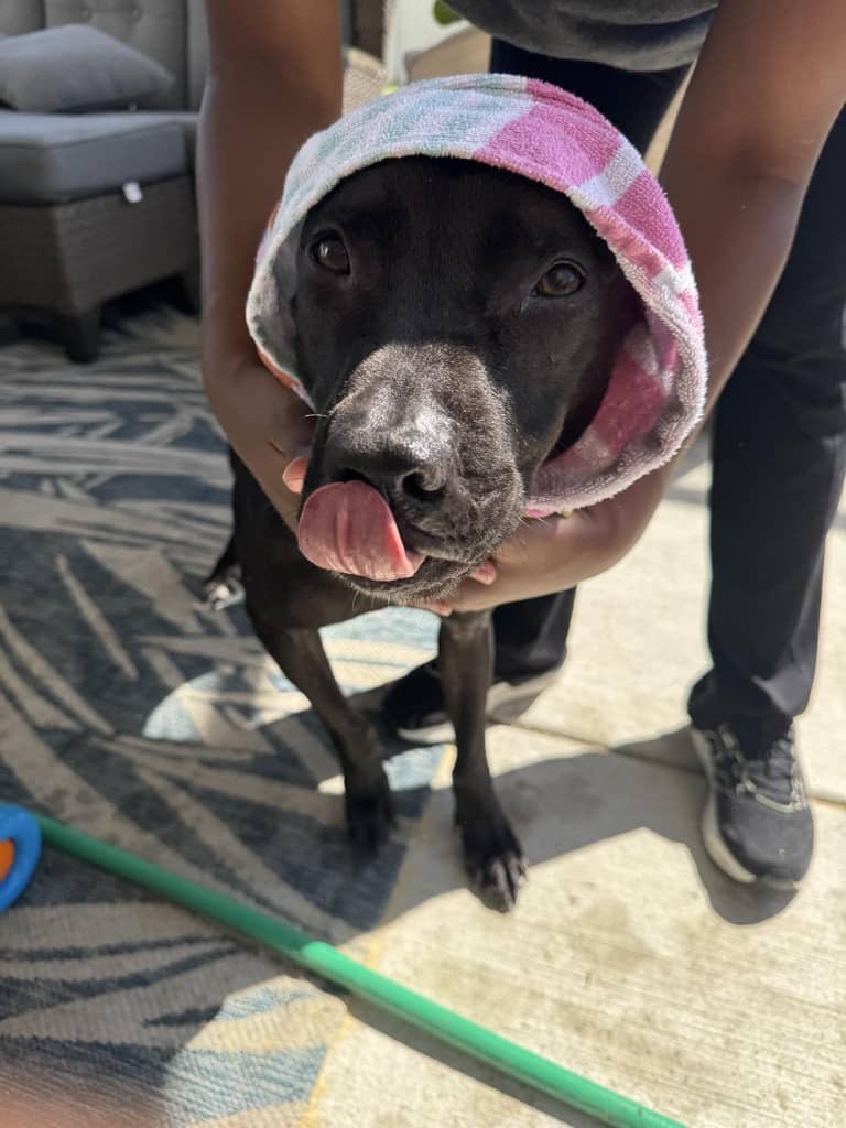 JPEG image-4617-950C-7F-0.jpeg