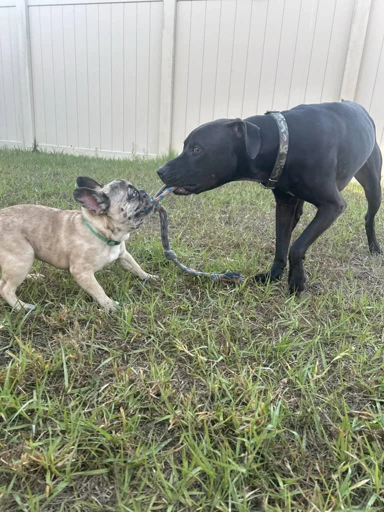 JPEG image-4555-AC2D-BE-0.jpeg