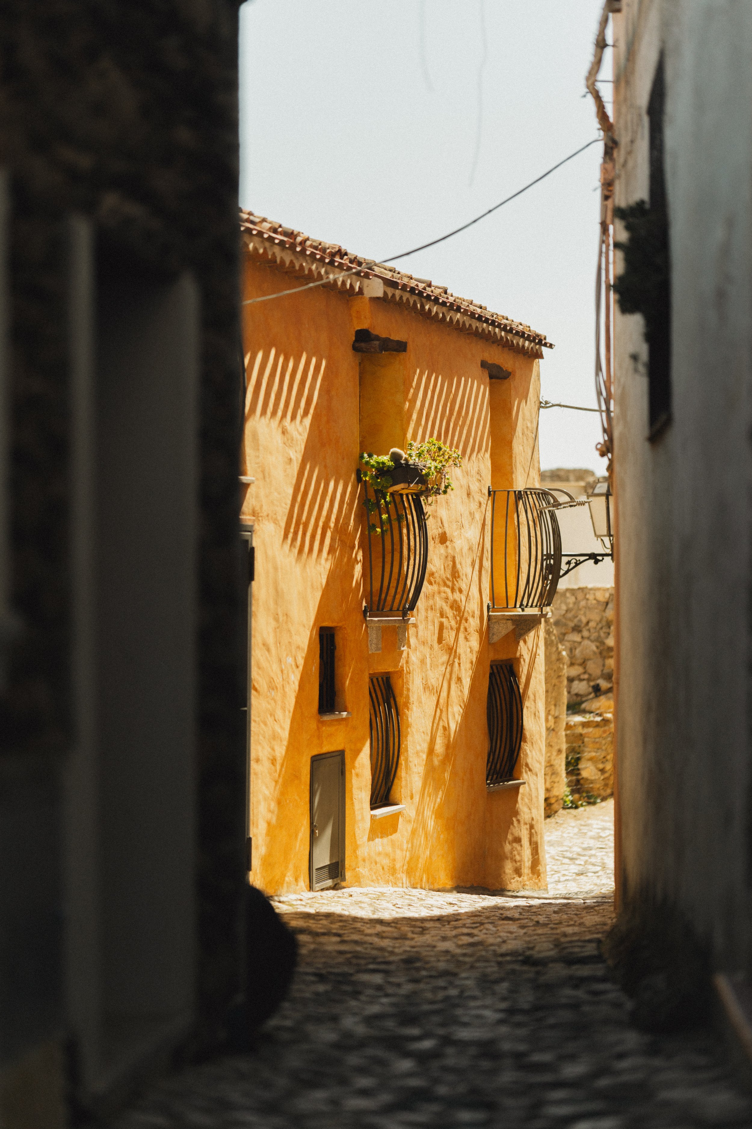 Frames of Wander - #1 (DSC06220).jpg