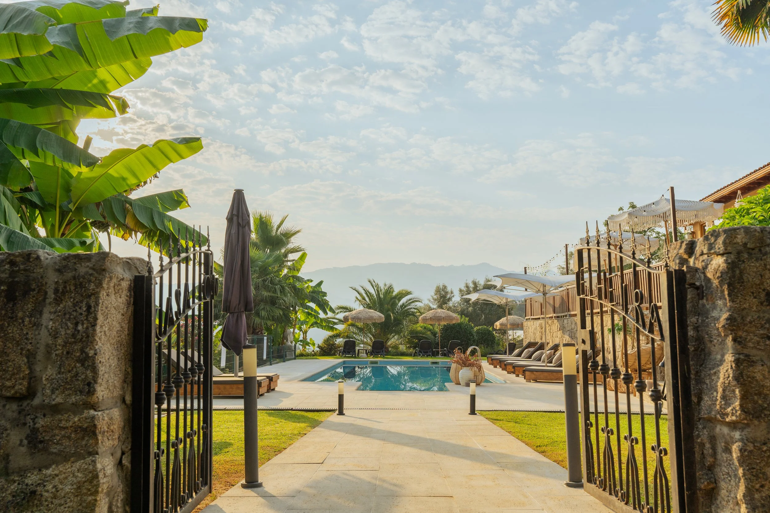 Swimming pool with palm trees and mountains in the background