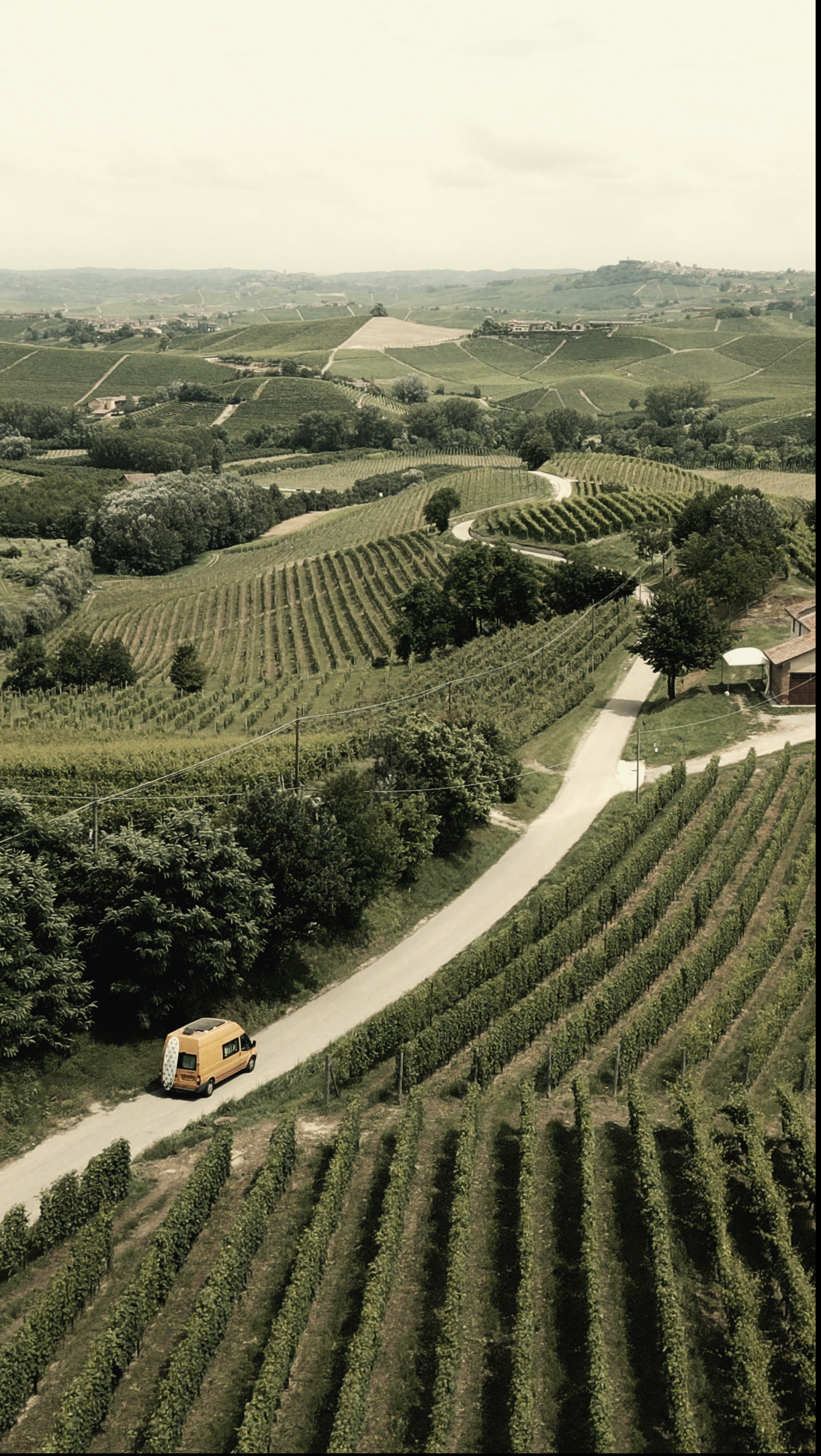 Screenshot 2025-01-20 at 12.39.08.png