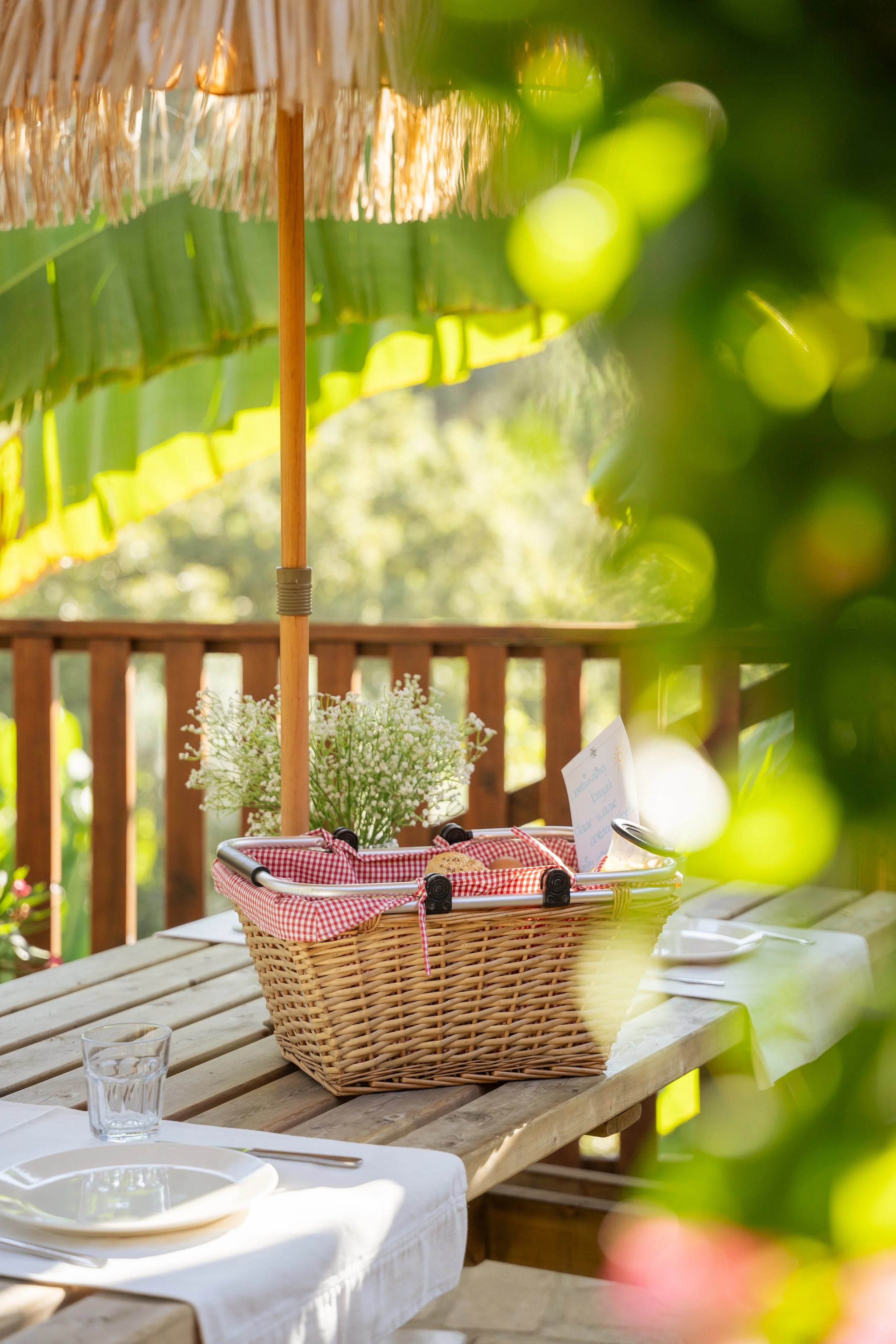 Frames of Wander-05166.jpg