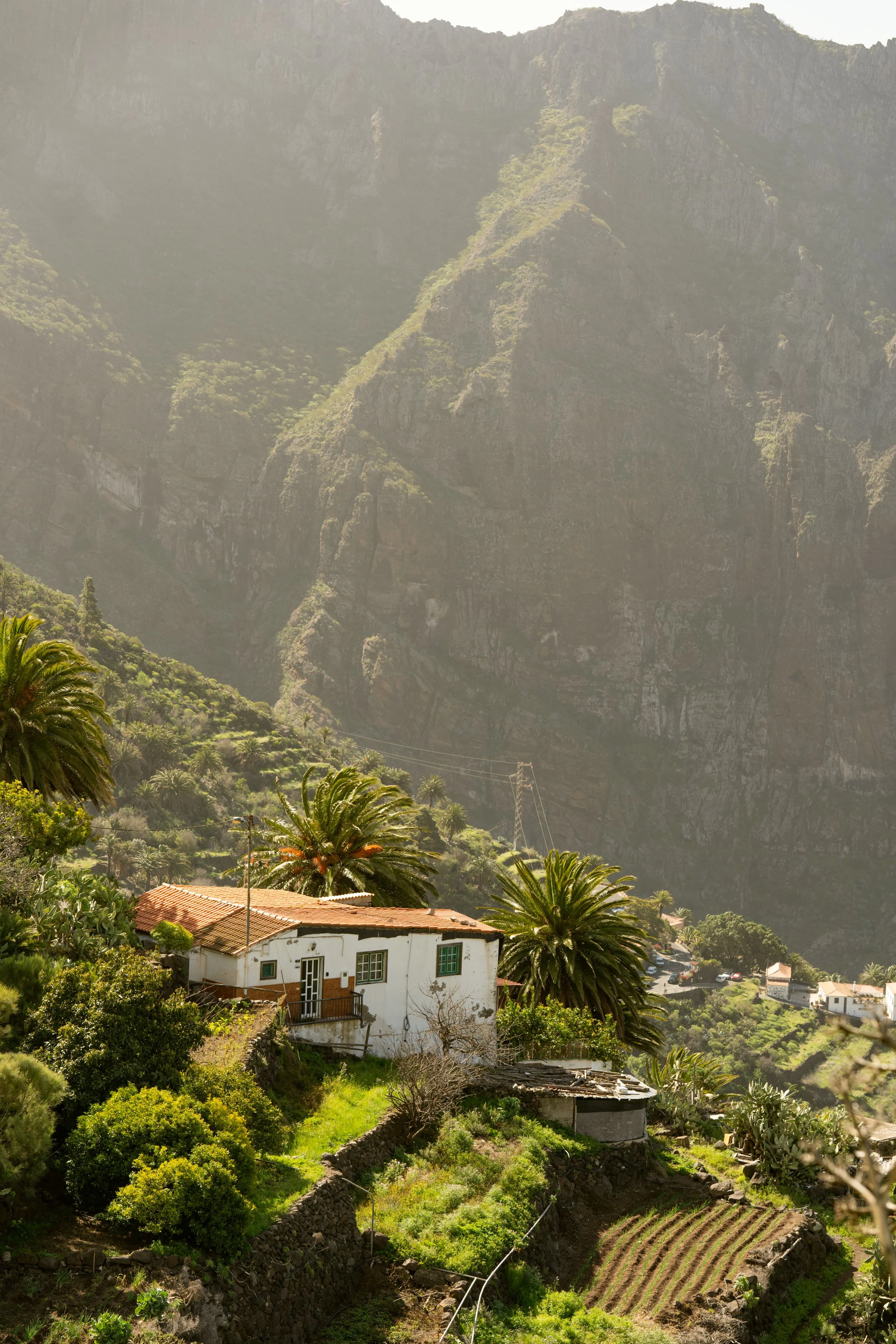 FOW-TNB Tenerife-09388.jpg