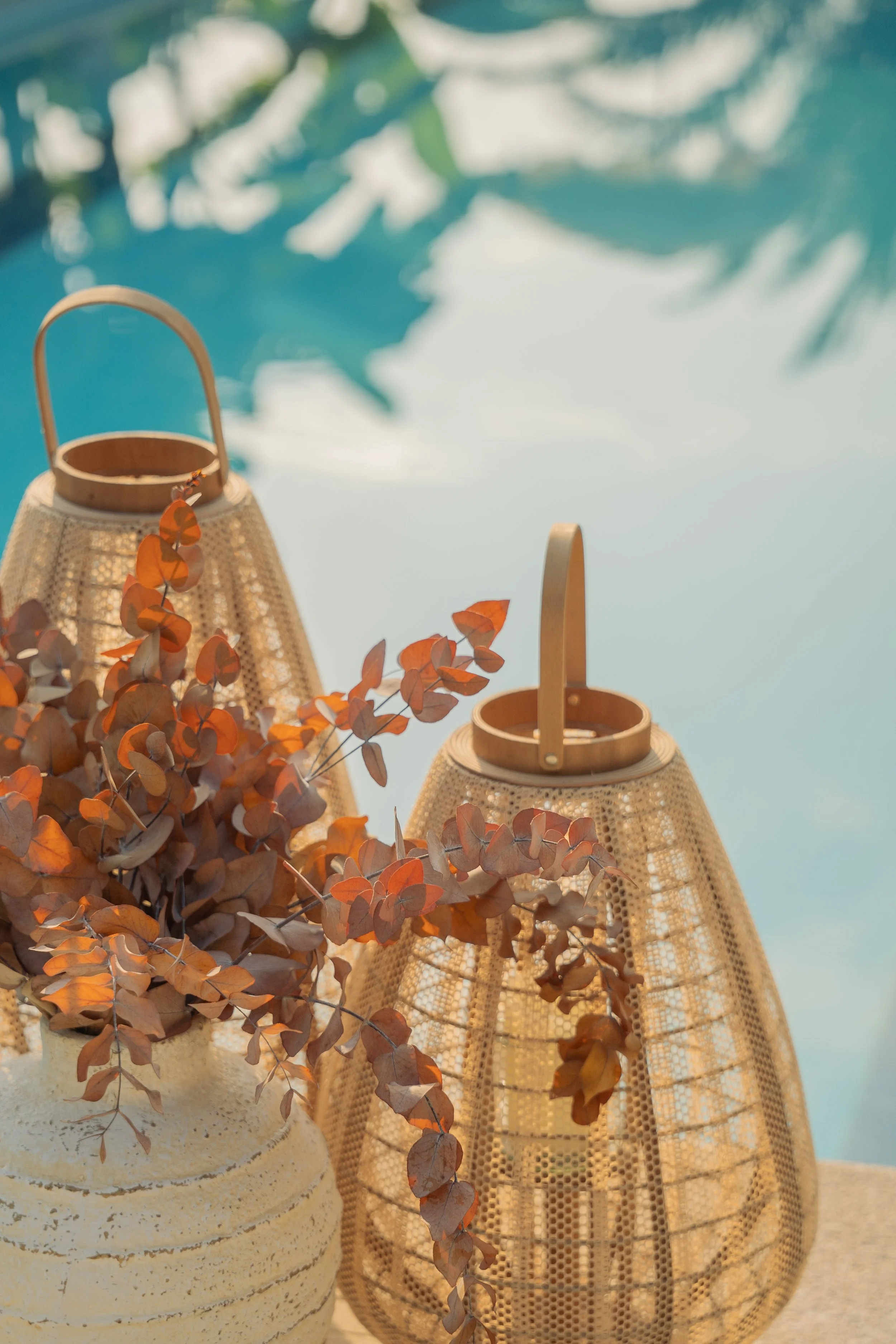 Frames of Wander-06194.jpg