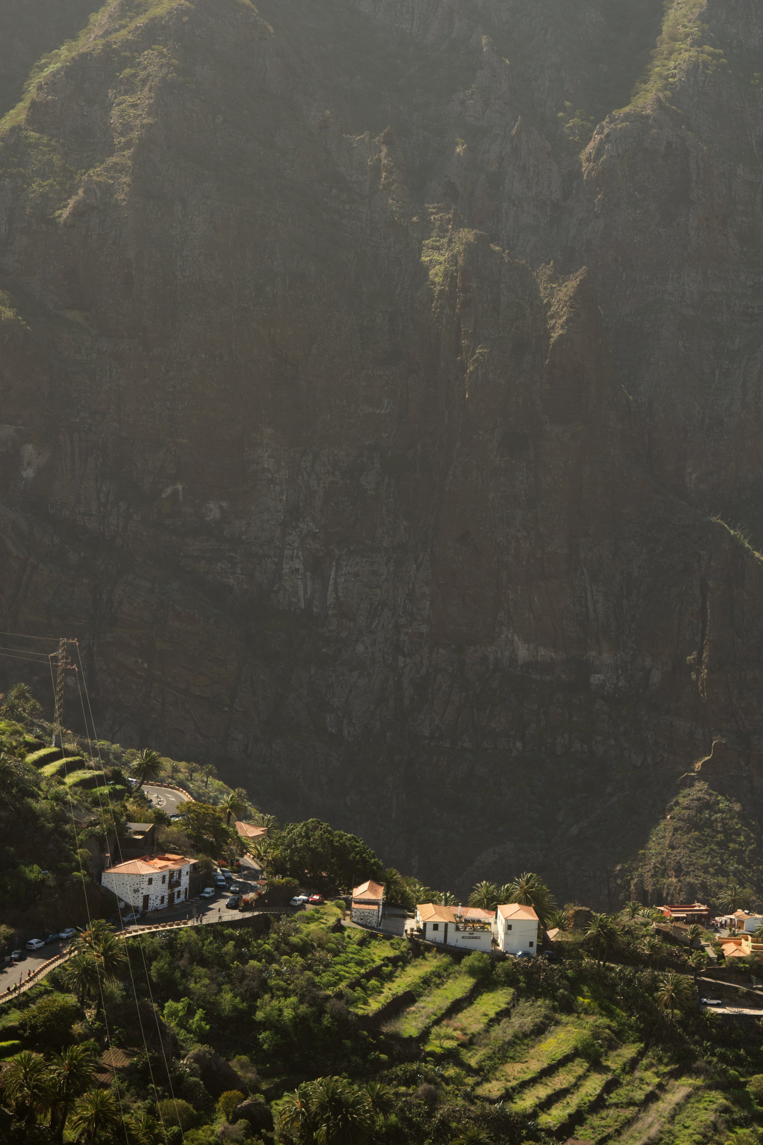 FOW-TNB Tenerife-09386.jpg