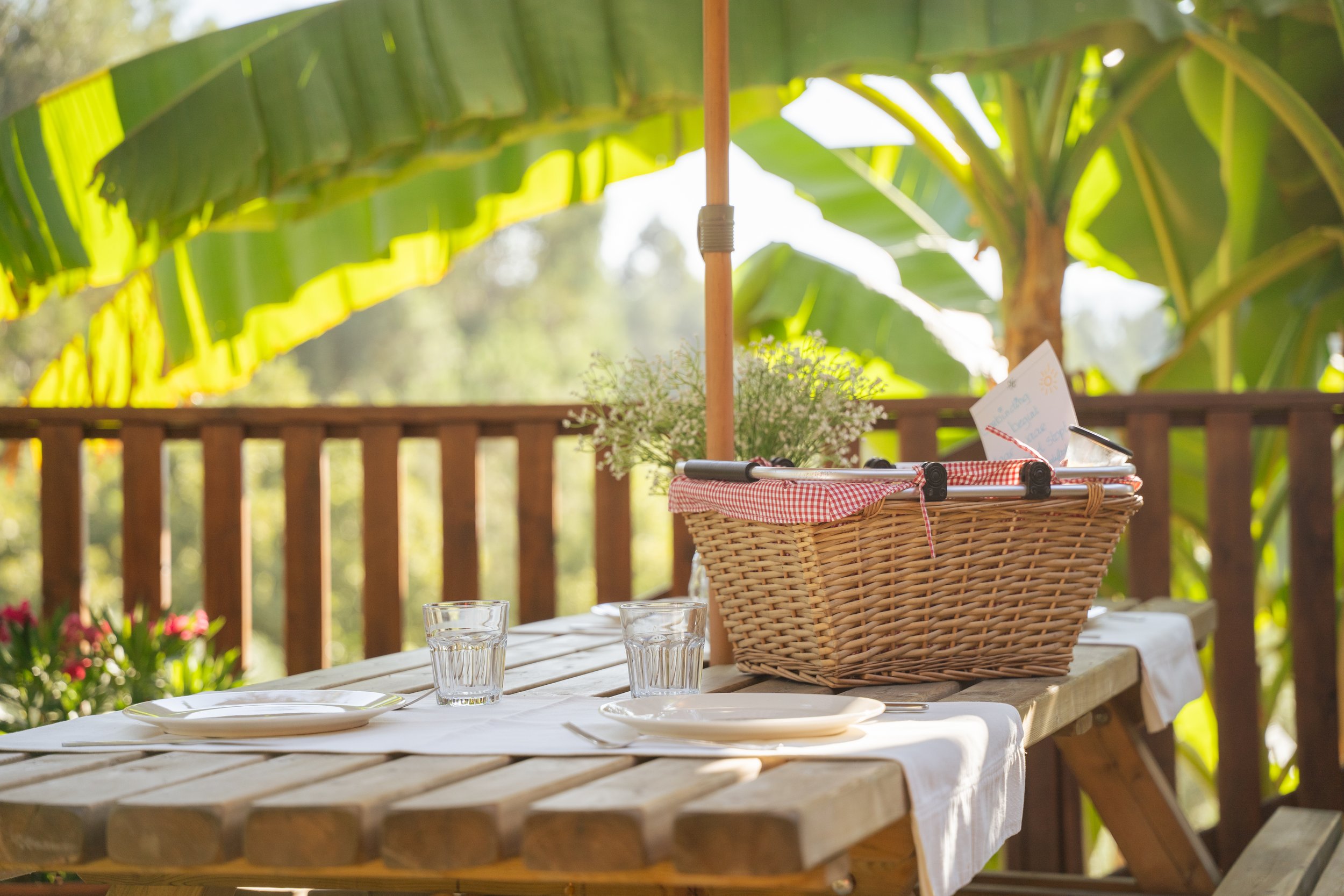 Frames of Wander-05157.jpg