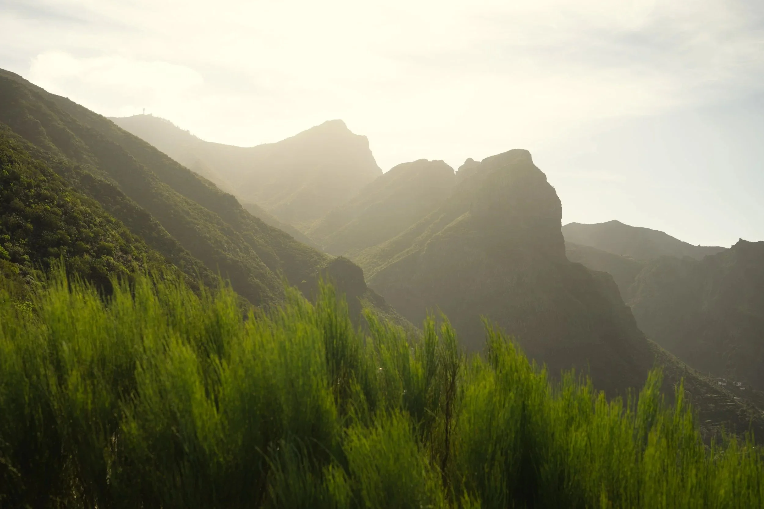 Green mountains with grass and sunrise