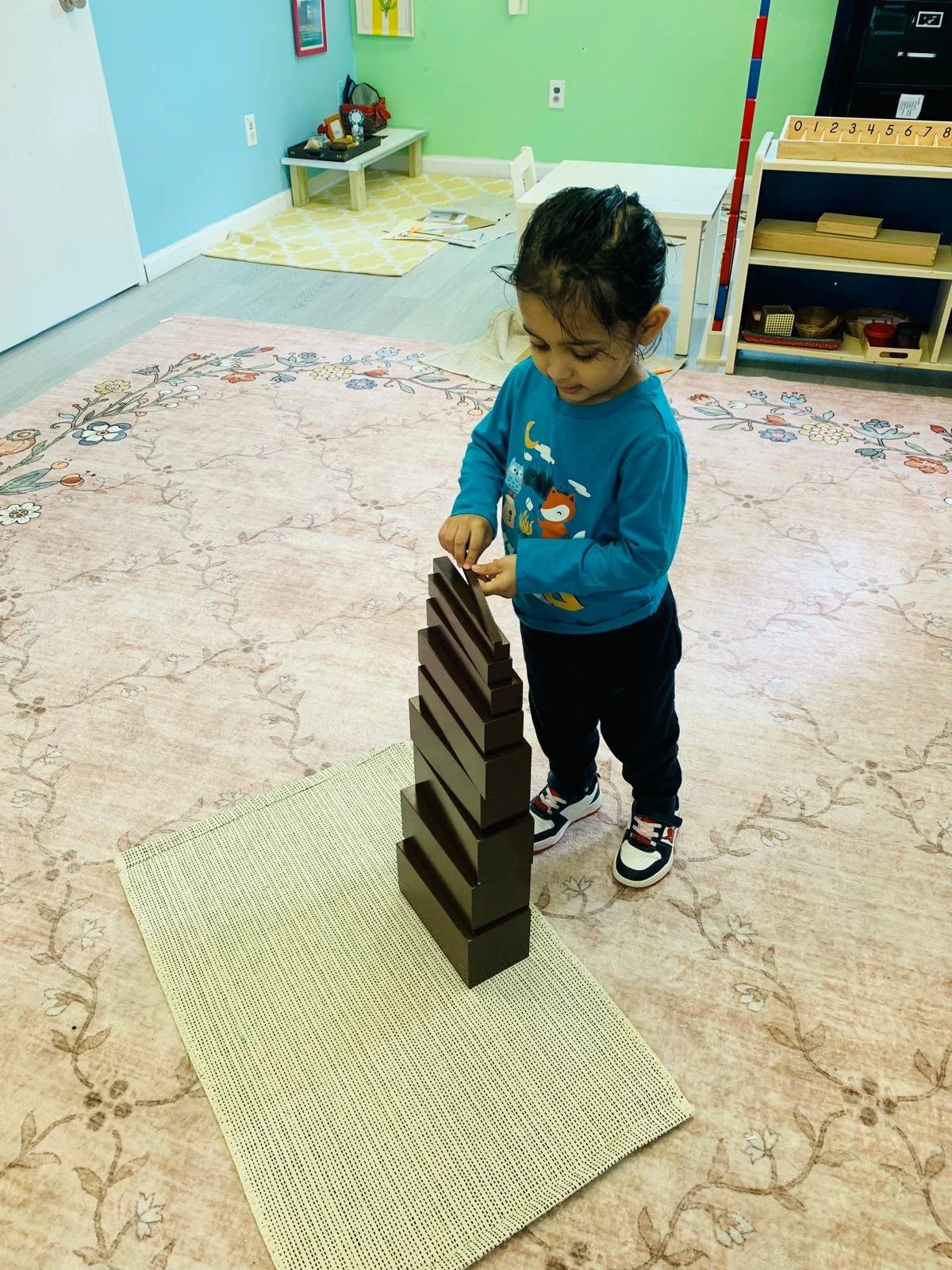 Toddler brown stair.jpeg