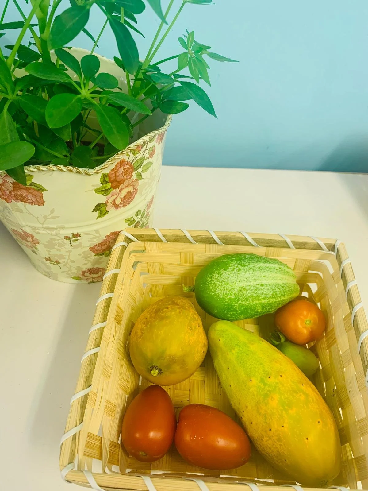 veggies from our garden.jpeg