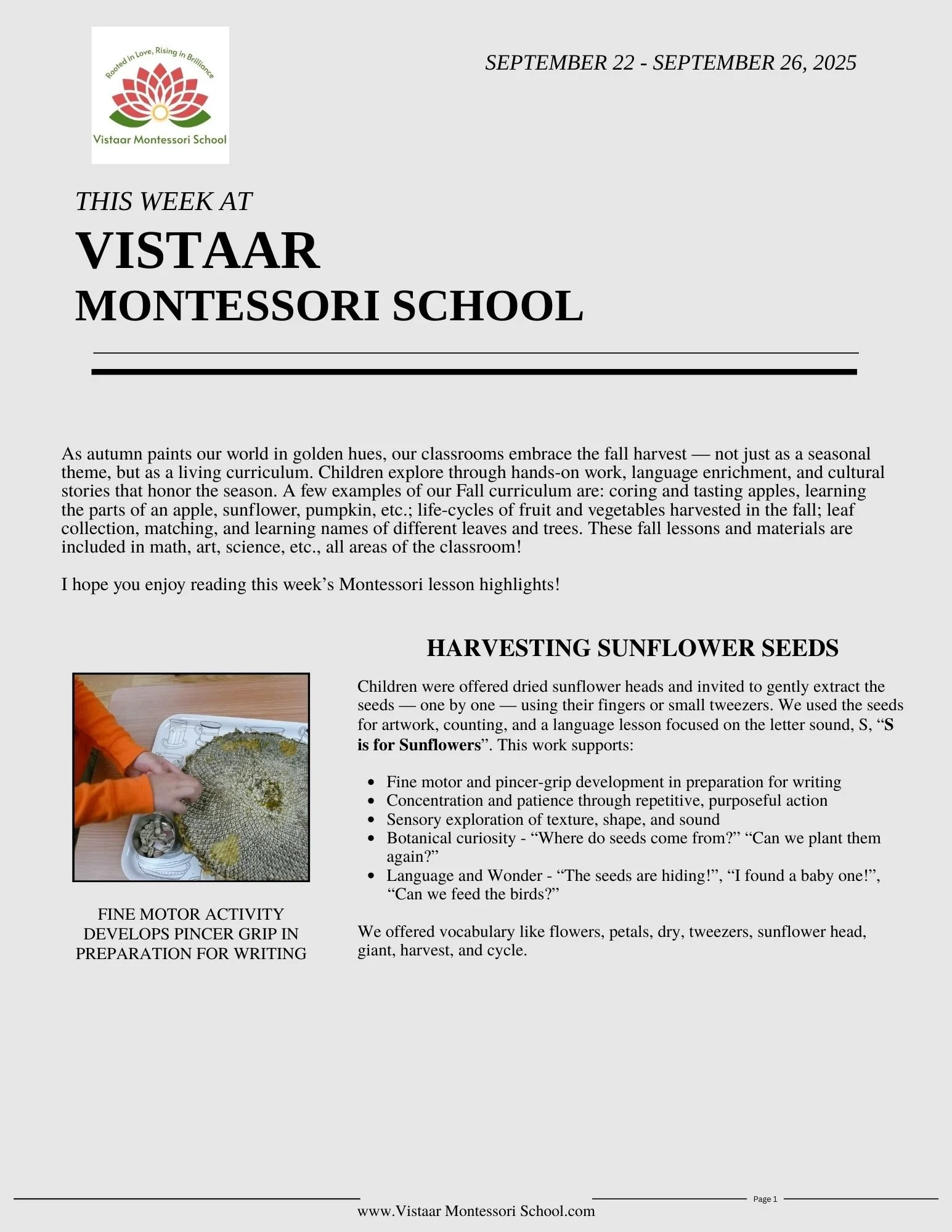 A classroom newsletter from Vistaa Montessori School, titled 'This Week at Vistaa Montessori School,' covering September 22 to September 26, 2025. It discusses fall curriculum activities such as harvesting sunflower seeds, with a photograph of children working with sunflower heads to extract seeds.
