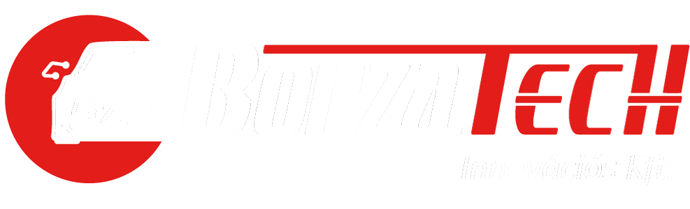 borzatech logo