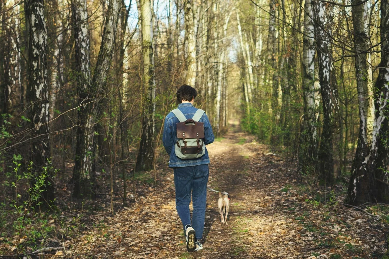 Wandelen Averbode: meer dan 500 kilometer wandelplezier