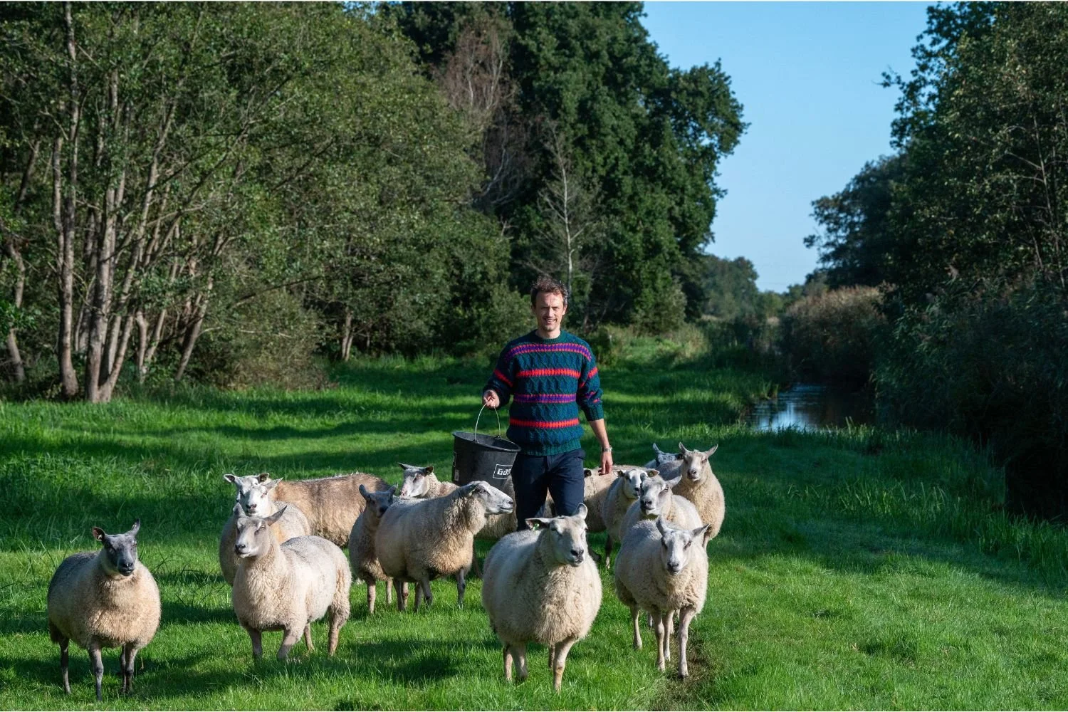max wohlgemuth kitslaar tussen de schapen van boer wilko