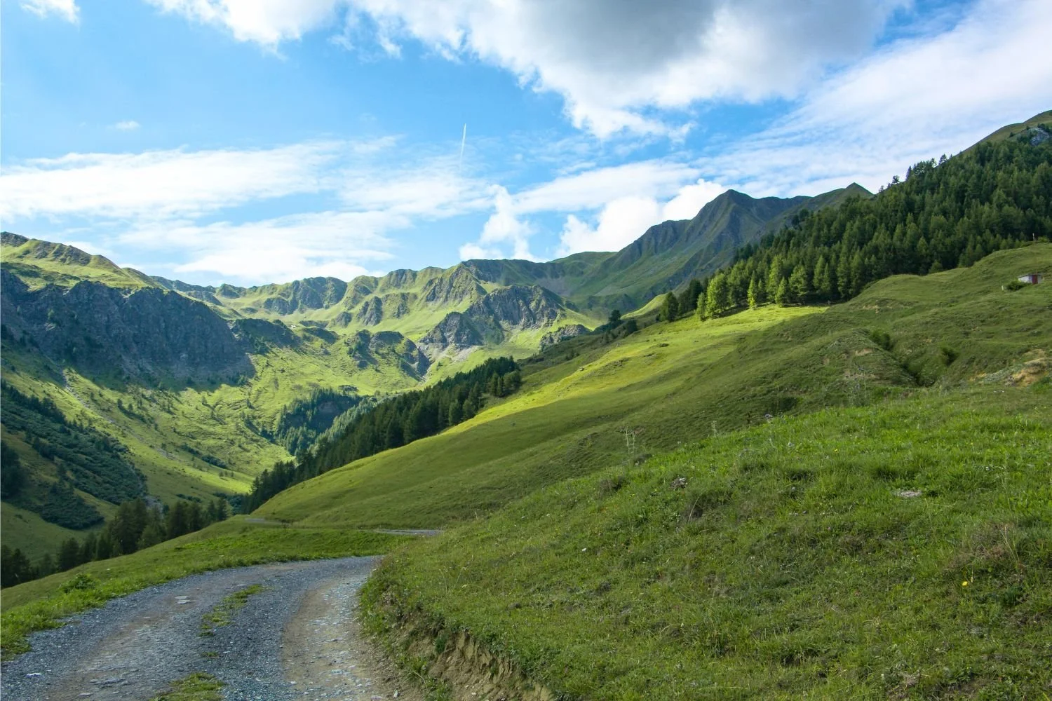gr 5 in de Franse Alpen Loperswol