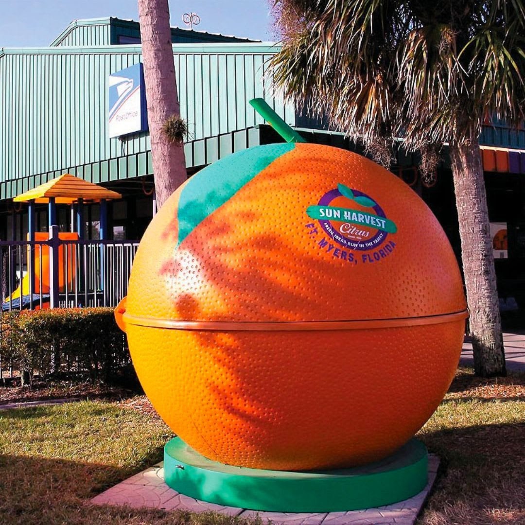 Today's community highlight is Sun Harvest Citrus!
Embracing the sunshine in Fort Myers with every citrusy sip from Sun Harvest! 🌞🍊 
Enjoy oranges, tangerines, grapefruits and more! Stay tuned for more fun things to do in Fort Myers!!
&bull;
&bull;