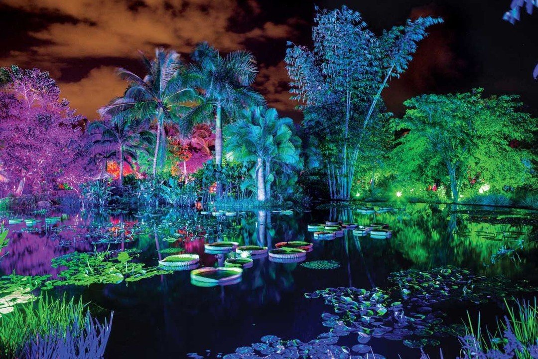 Today's community highlight is the Naples Botanical Garden!
Embrace the nature beauty of the West Coast