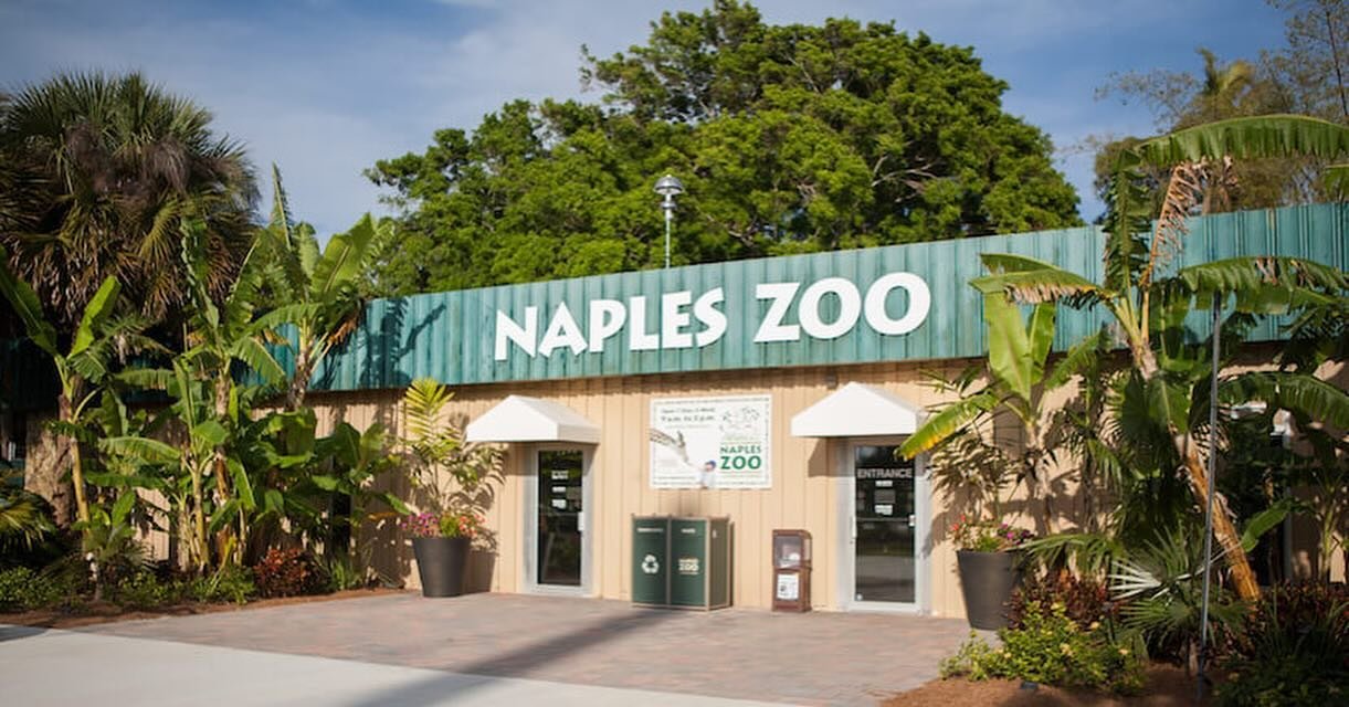 Step into a world where wildlife roams and curiosity thrives. Welcome to the Naples Zoo, where every visit is a wild adventure! 🐾🌿
&bull;
&bull;
&bull;
 #NaplesZoo #WildlifeWonder #zoolife #livethereef #fgcu #fsw #naples #animals #adventures #fun