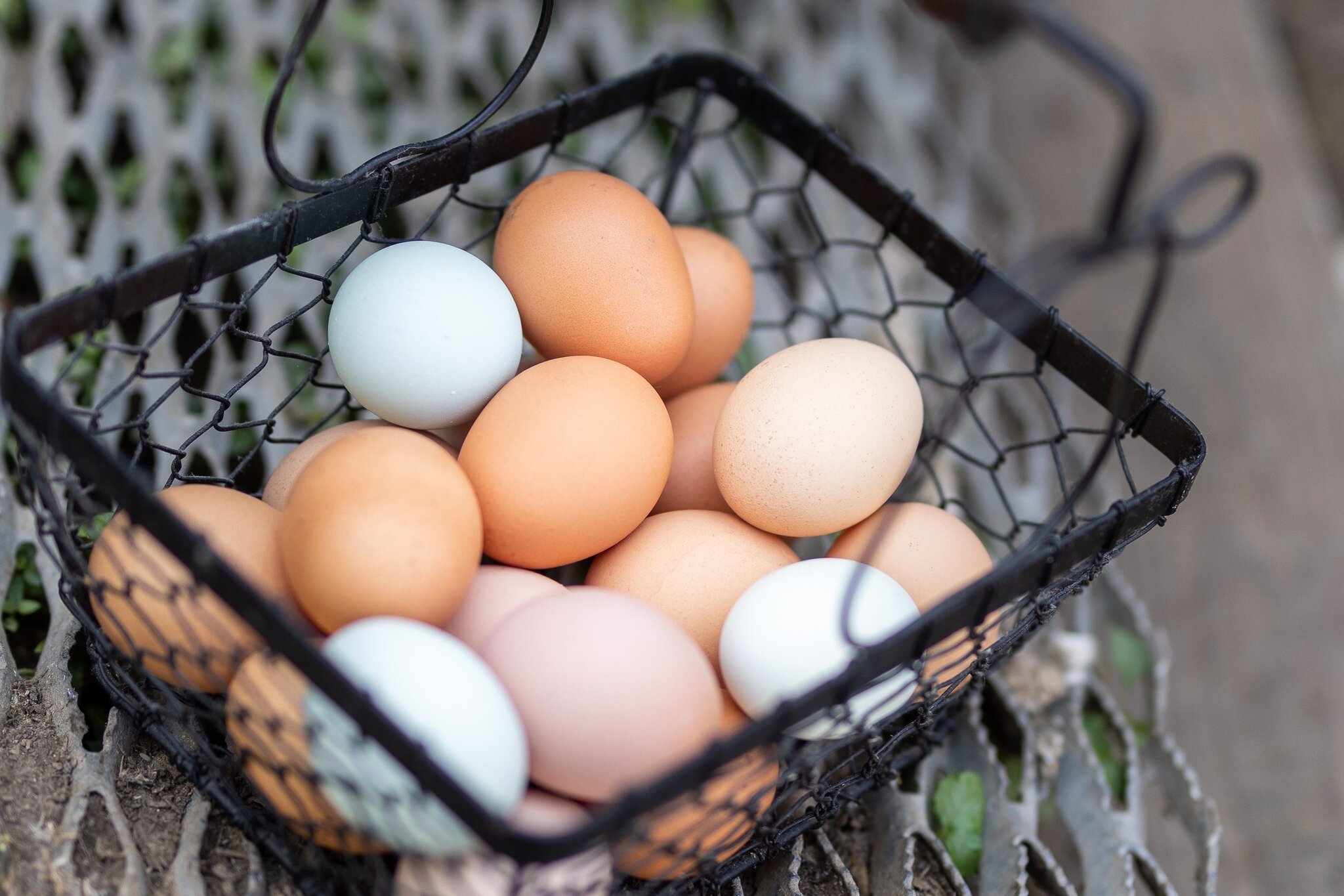 Farm fresh eggs...$3.00 per dozen...Pick up at Happy Life Ranch on Beecher. Reach out to 630-877-7718 if you have any questions or check out our website at happyliferanch.com