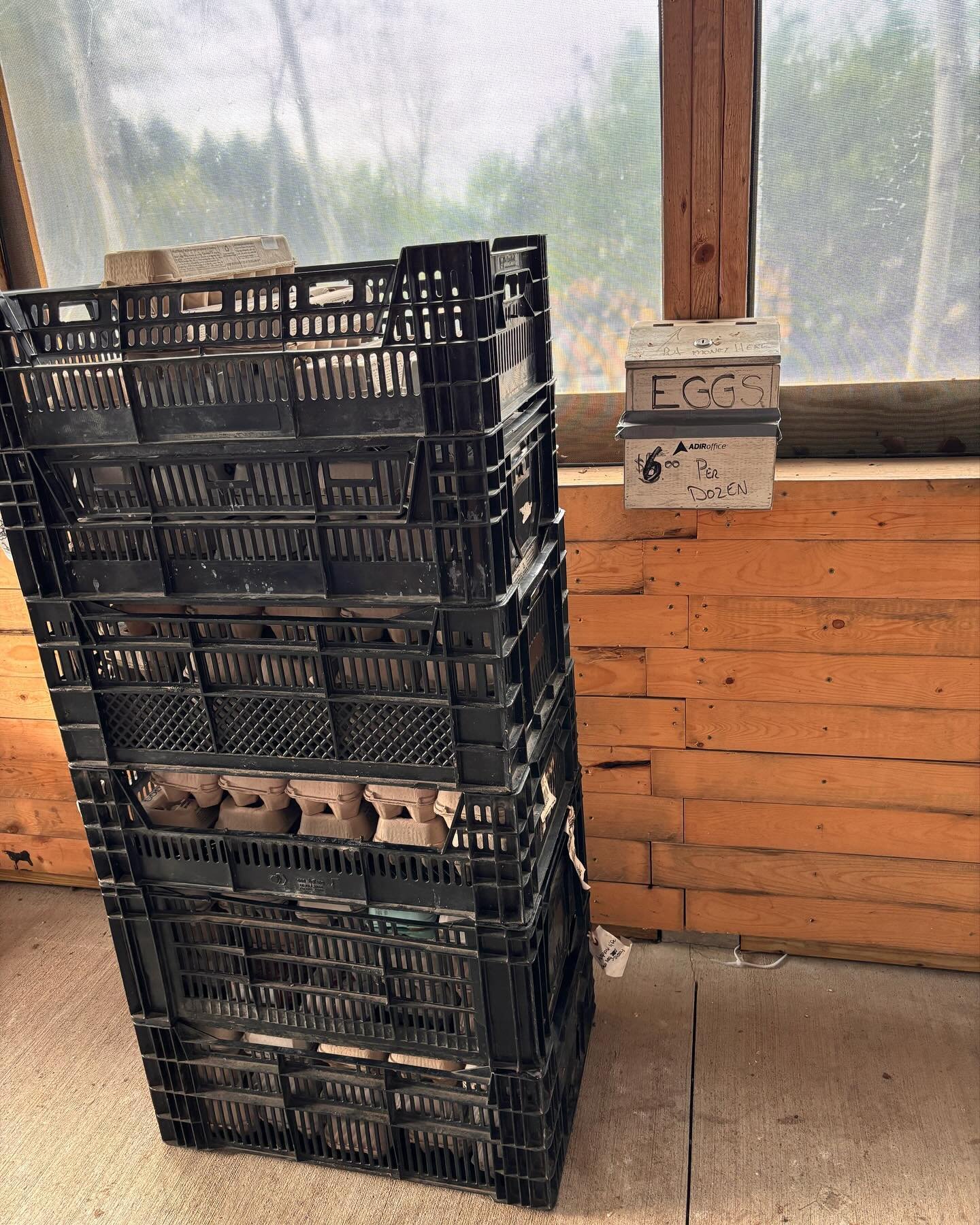 Farm fresh eggs are back on the barn porch in the screen room. $5/dozen. Cash box next to eggs. We are out for the day so no meat sales today. #farmfresheggs #weatheriscooperating #nongmofed #trulyfreerange #selfserveeggpickup