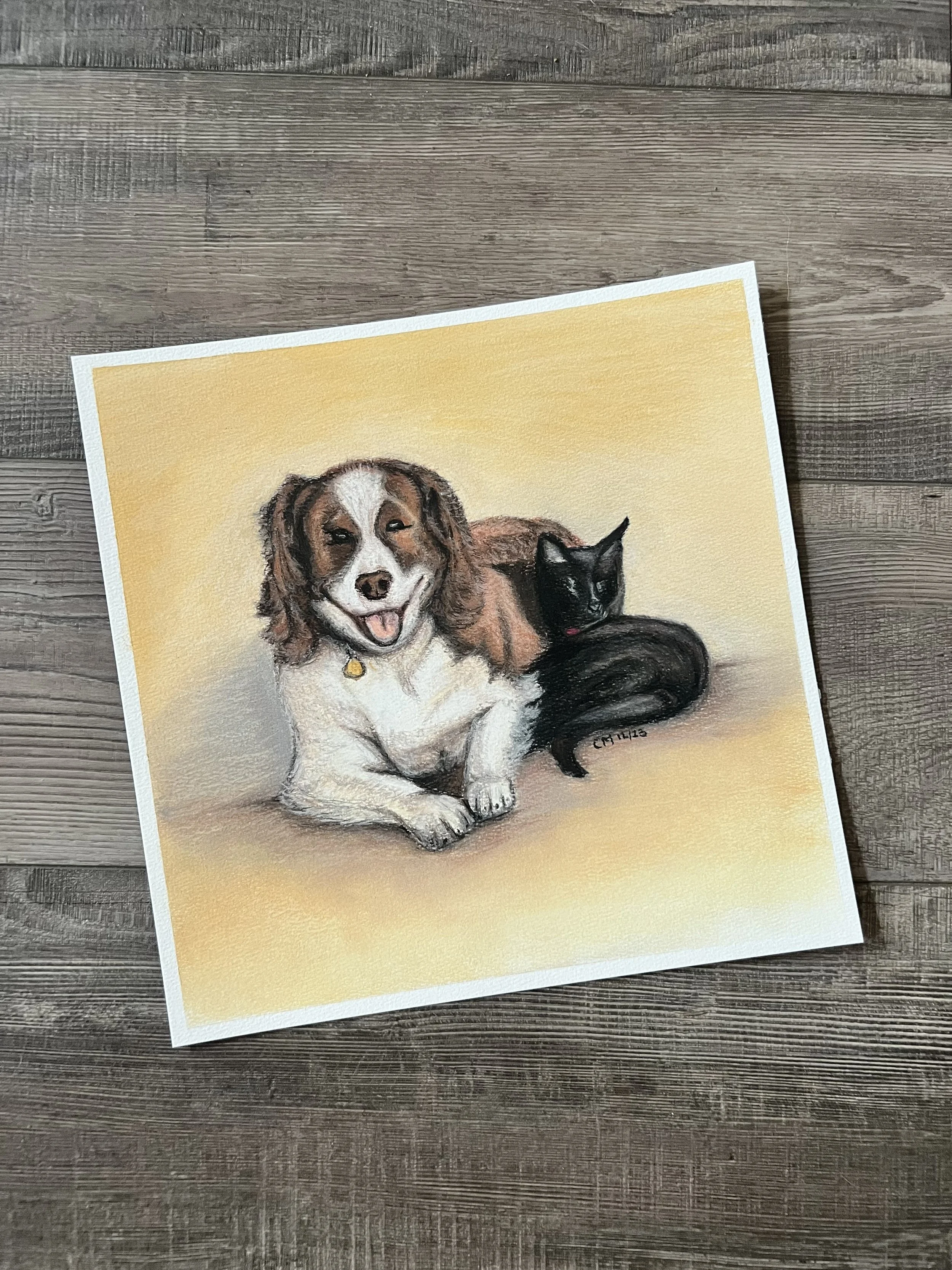 A painting of a happy dog with a white and brown coat, lying next to a black cat, both on a yellow background.