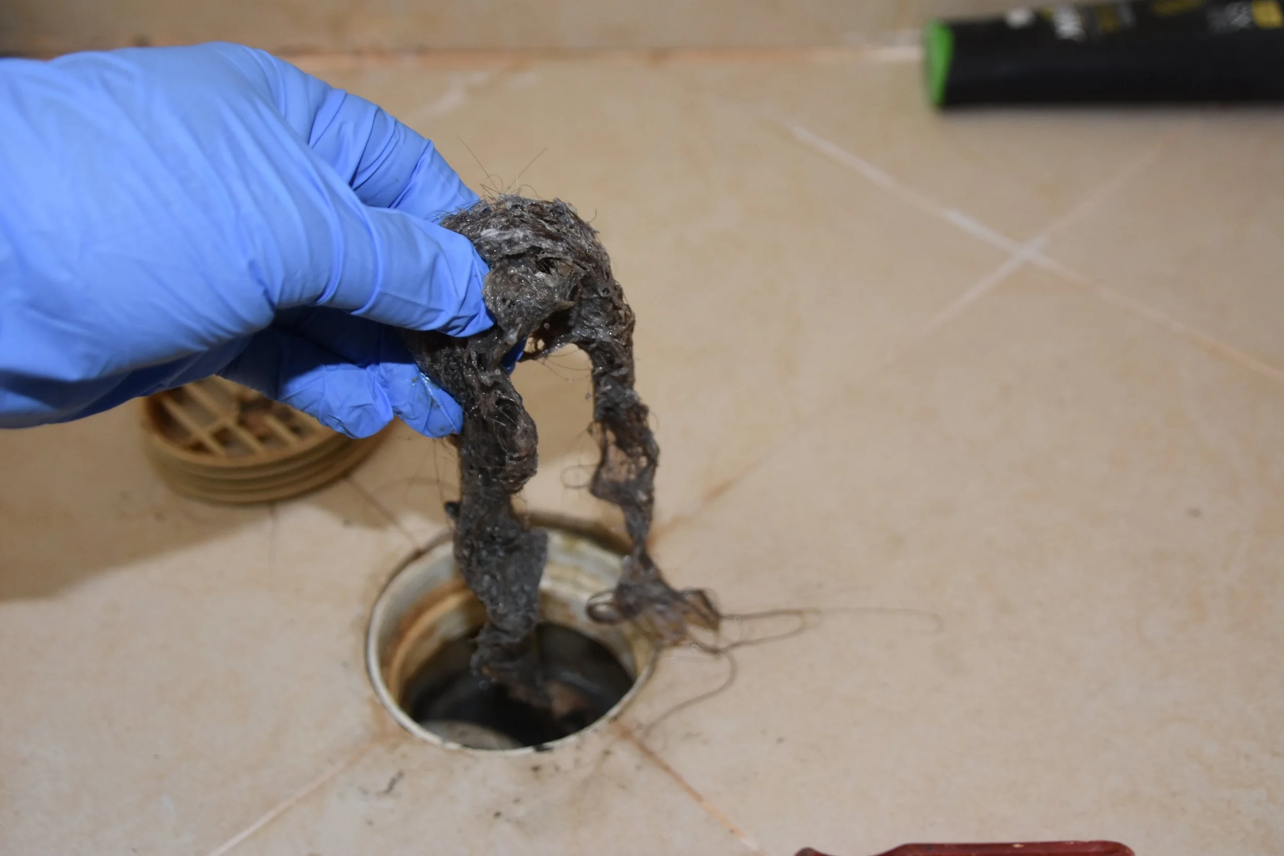 Image of the Denver drain cleaning specialist pulling hair out of a clogged shower drain with a gloved hand..