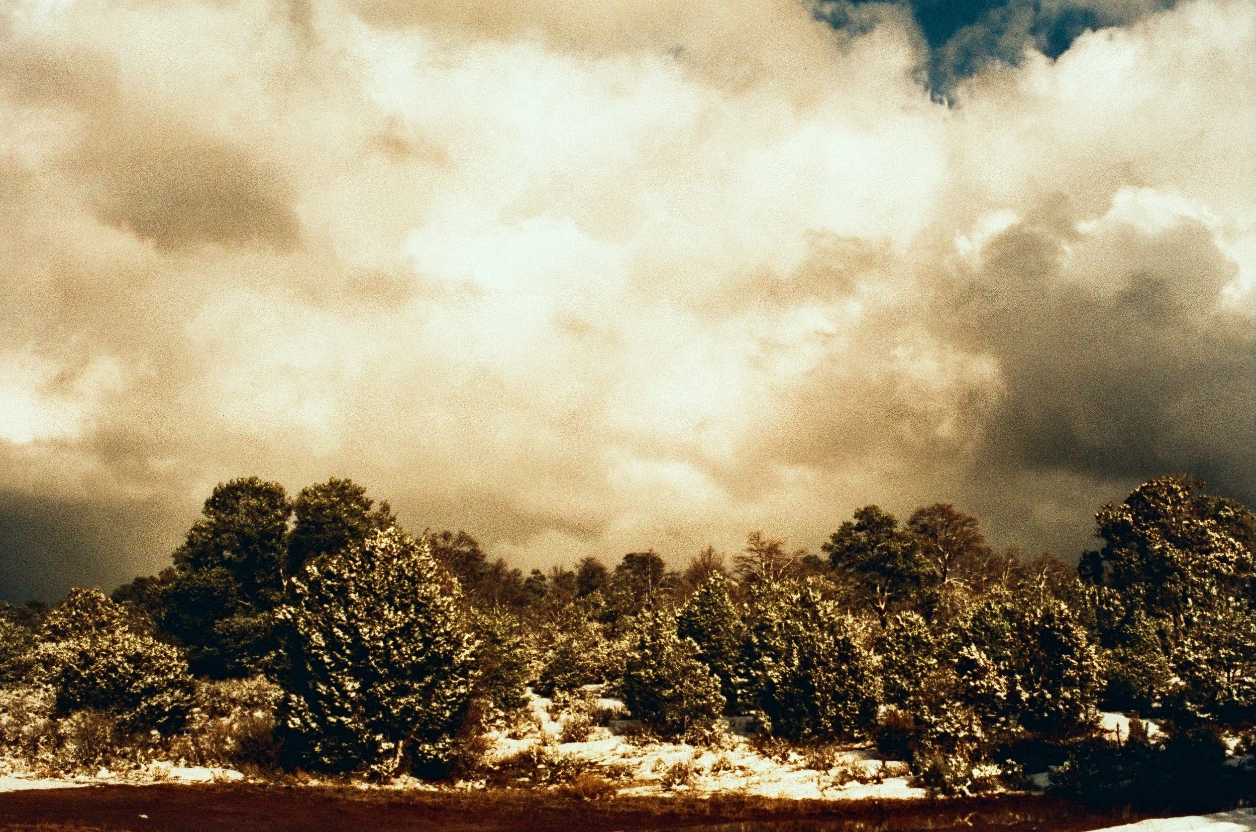 Film_013.jpg