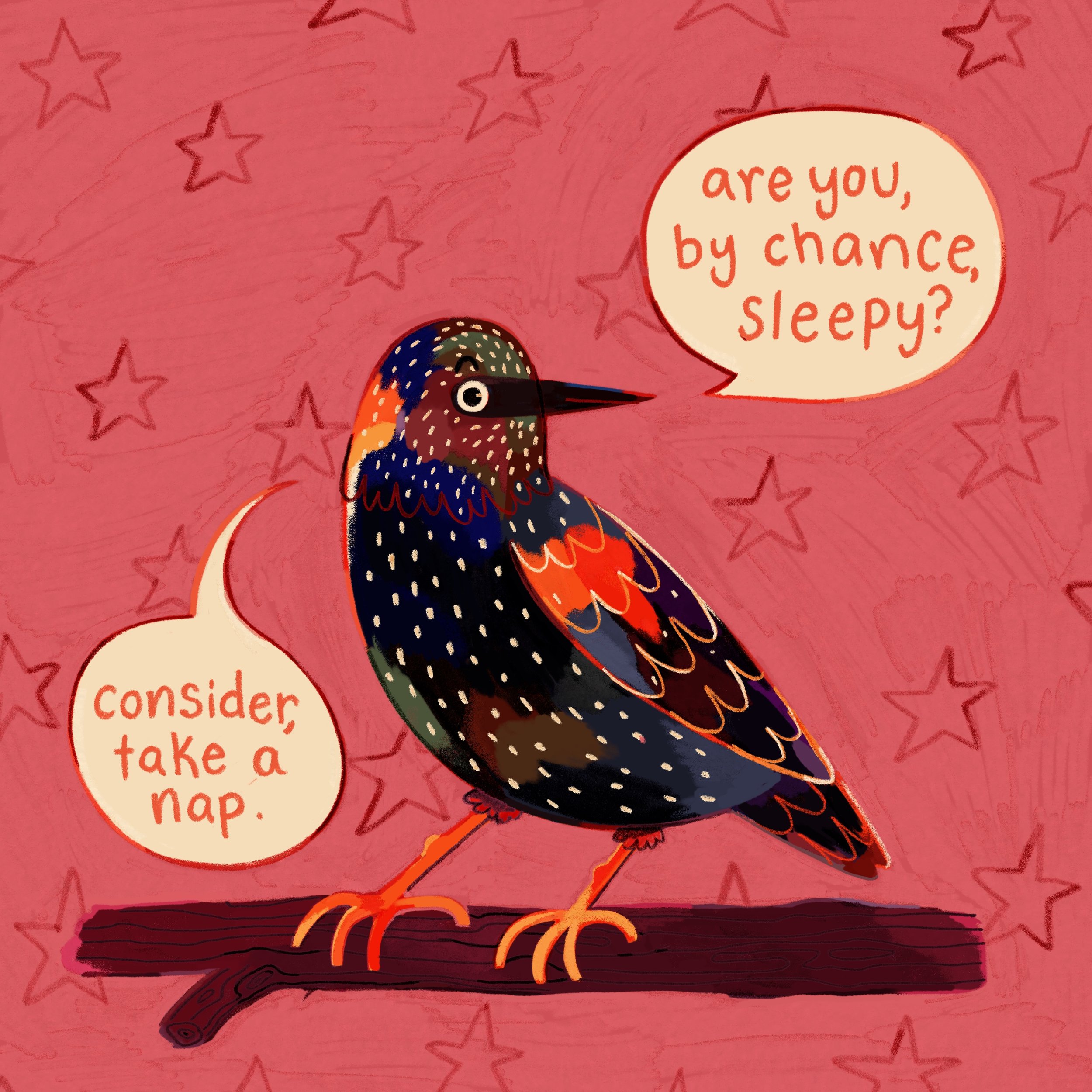 Pistachio the bird