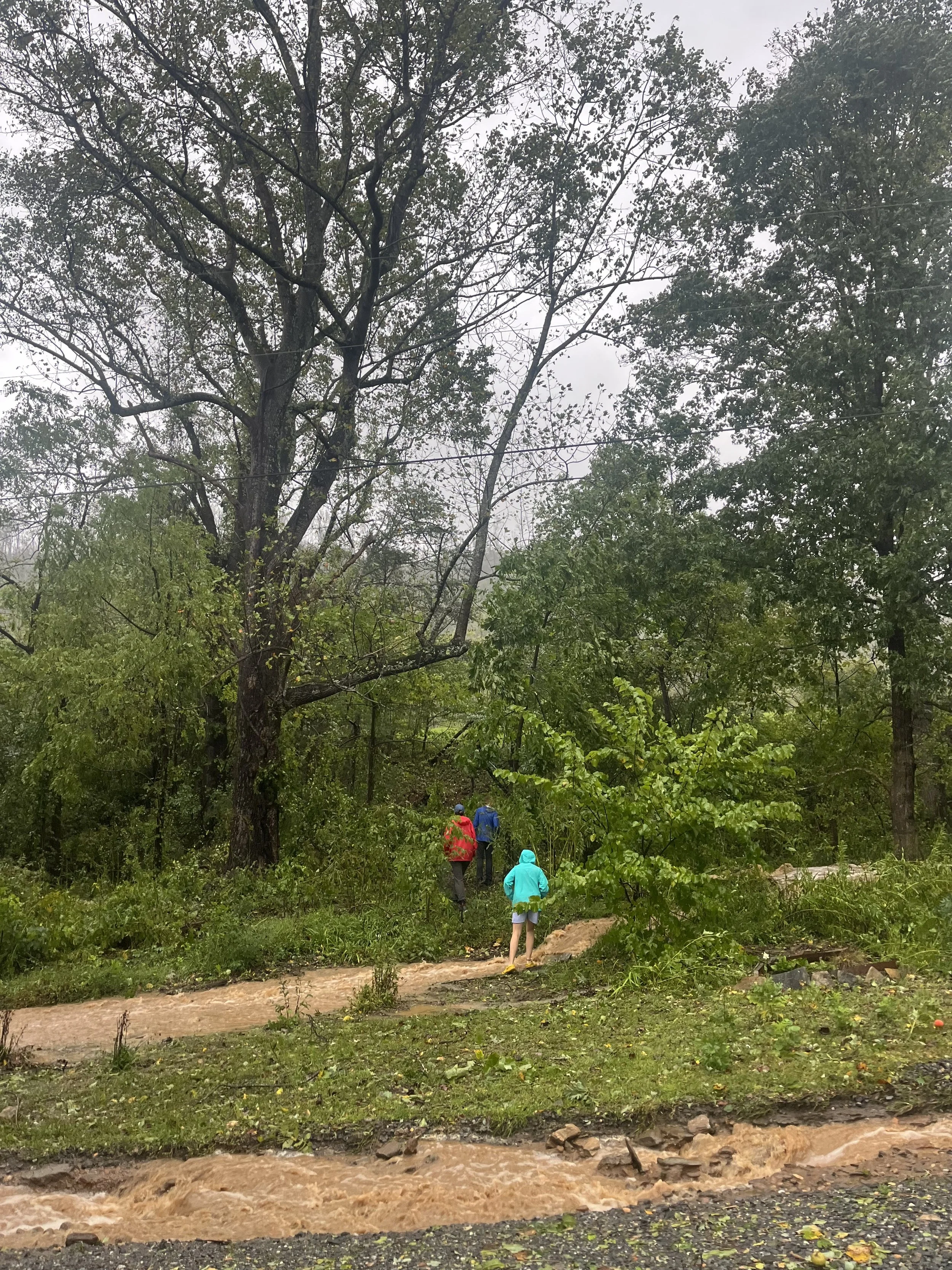 City of Asheville, North Carolina: Resilience Hub Mapping Project