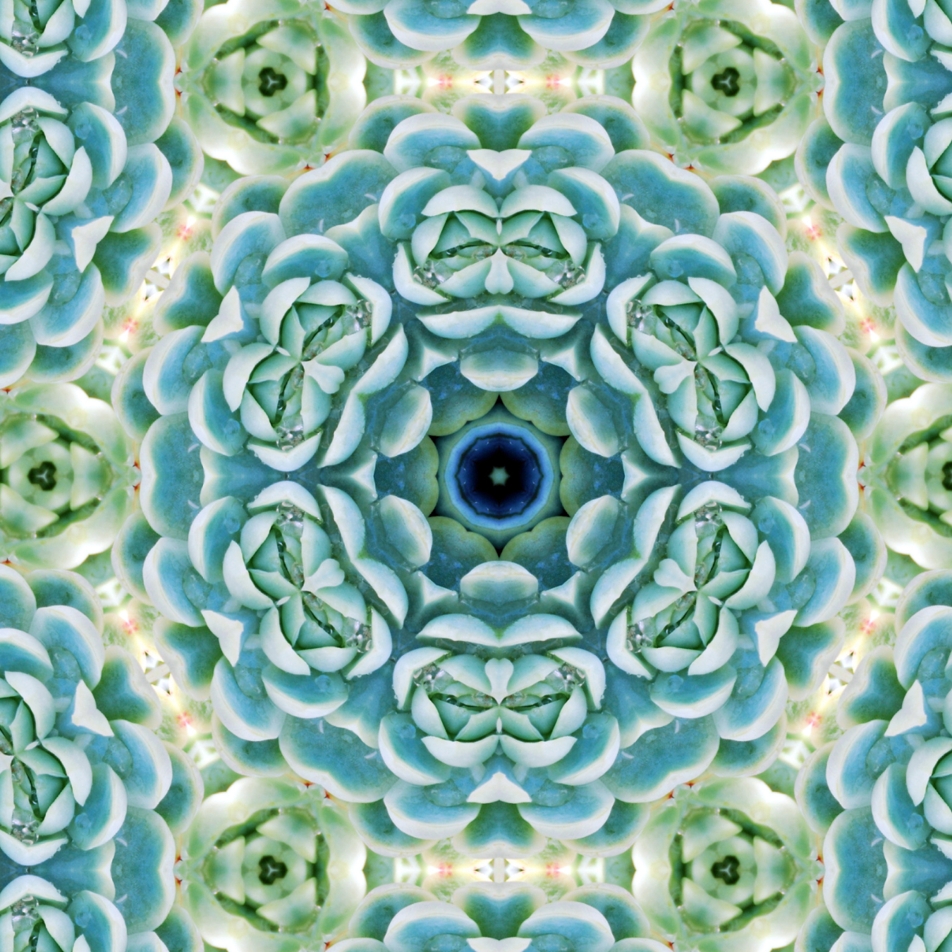 A kaleidoscopic pattern of green succulent plants with symmetrical design and a central star-shaped formation.