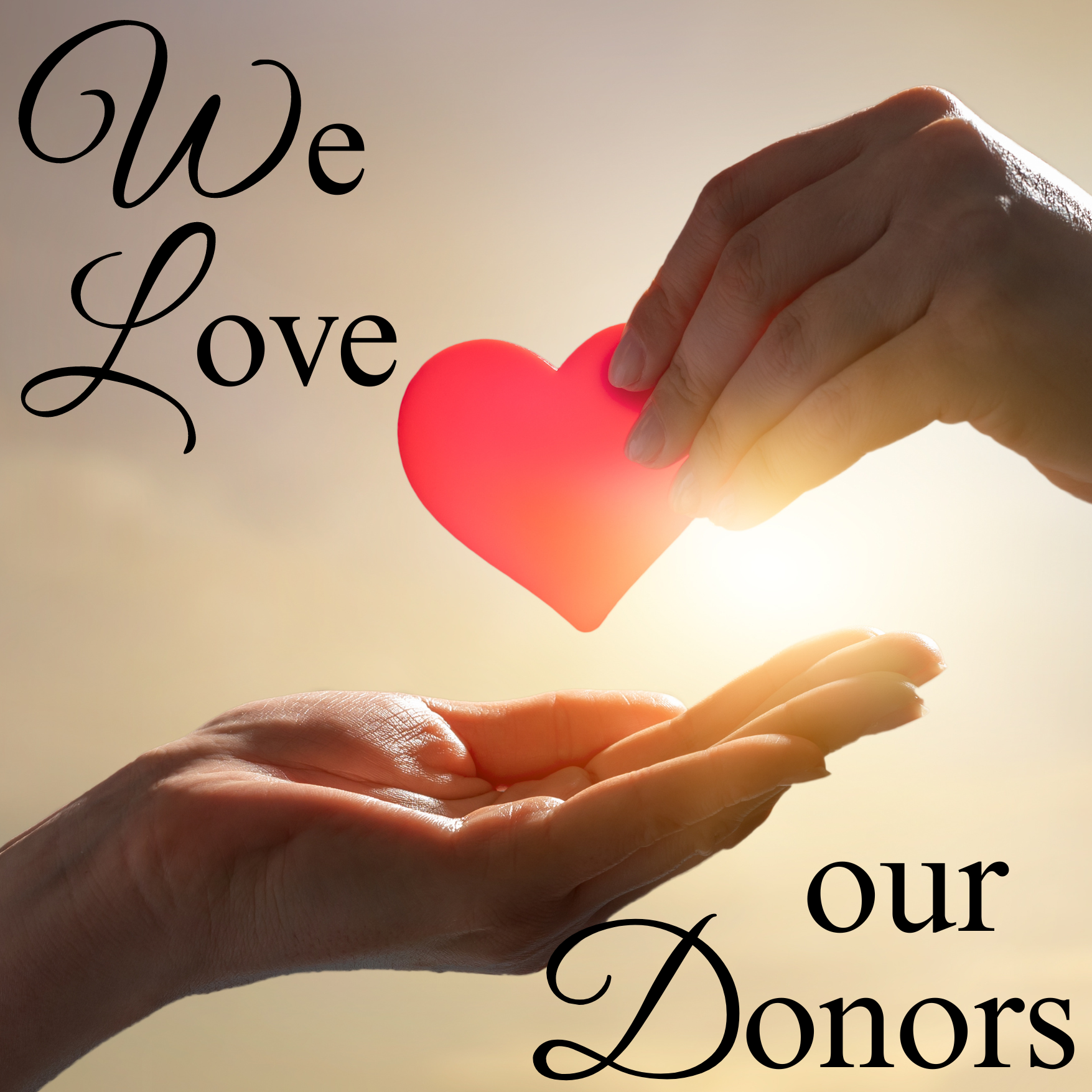 We Love Our Donors!