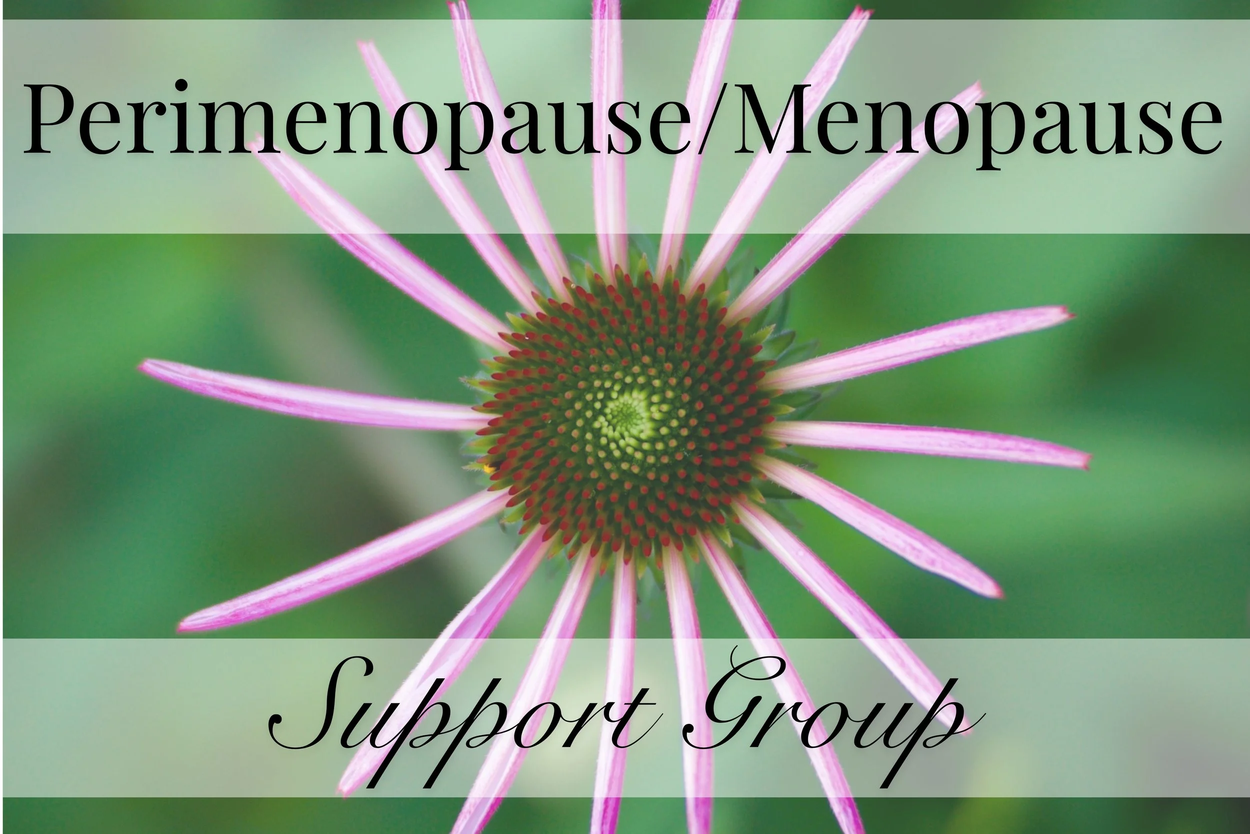 Perimenopause/Menopause Support Group