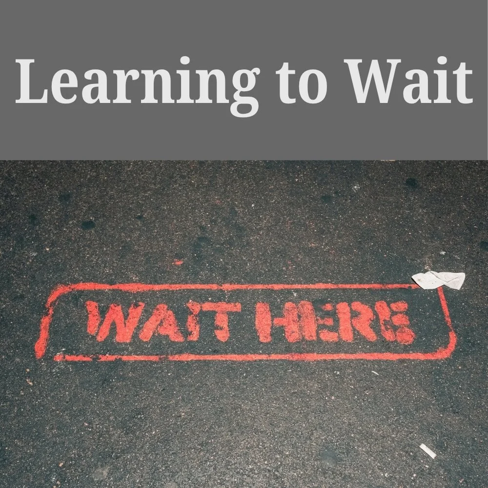 Learning to Wait