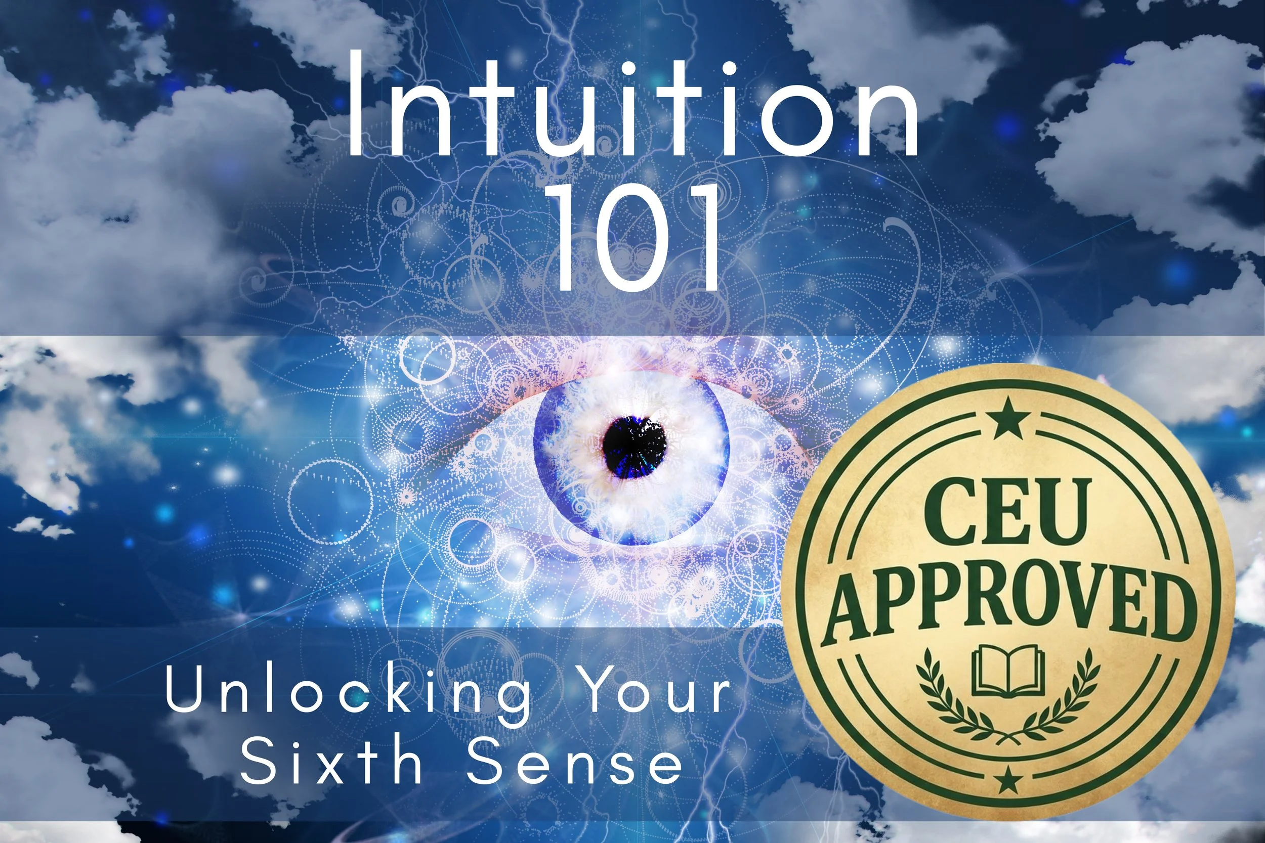Intuition 101