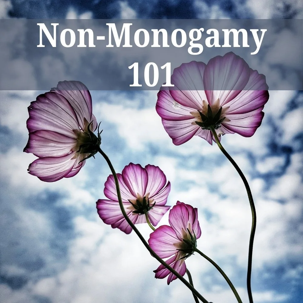 Non-Monogamy 101
