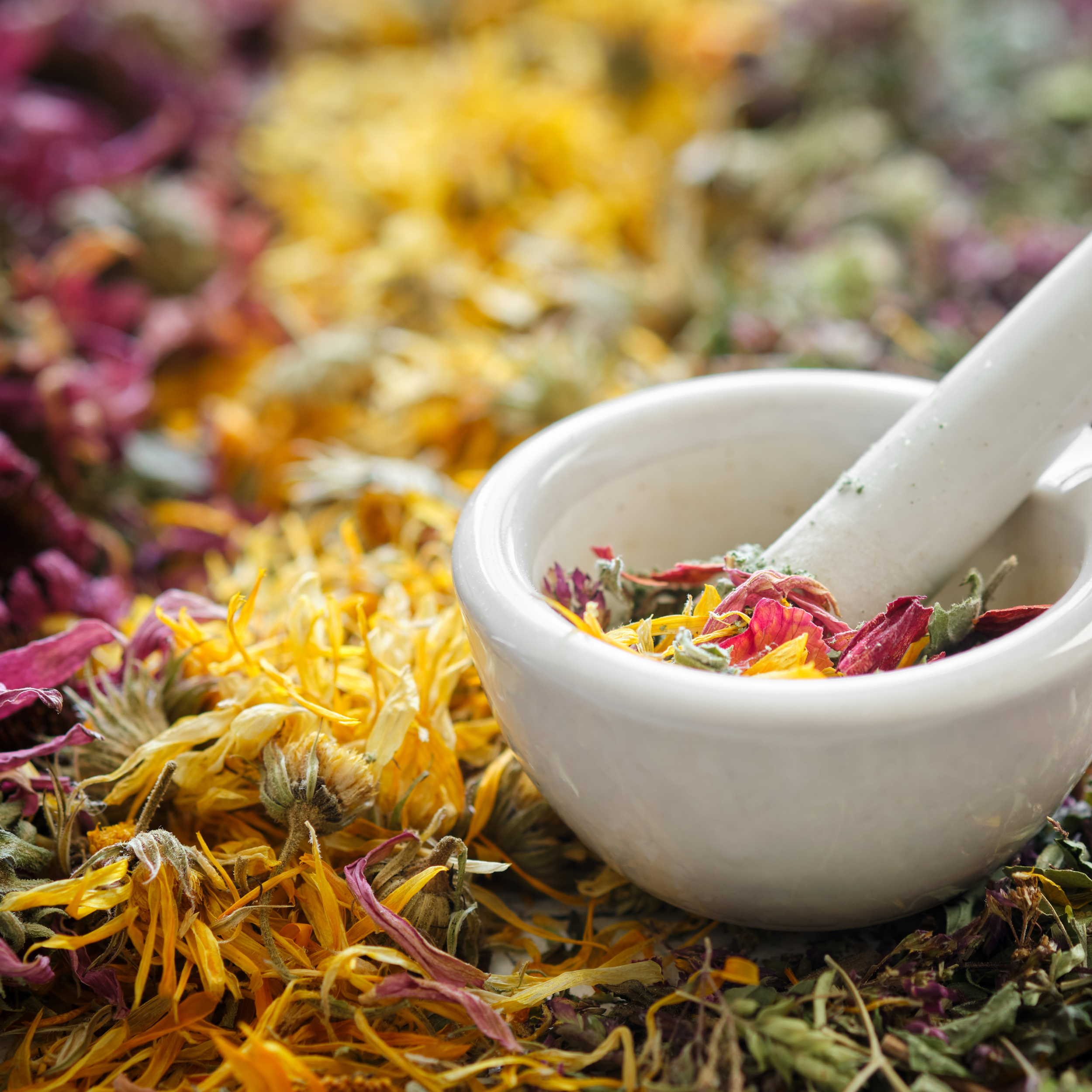 A mortar and pestle filled with dried flower petals, surrounded by more scattered dried flower petals on a surface.