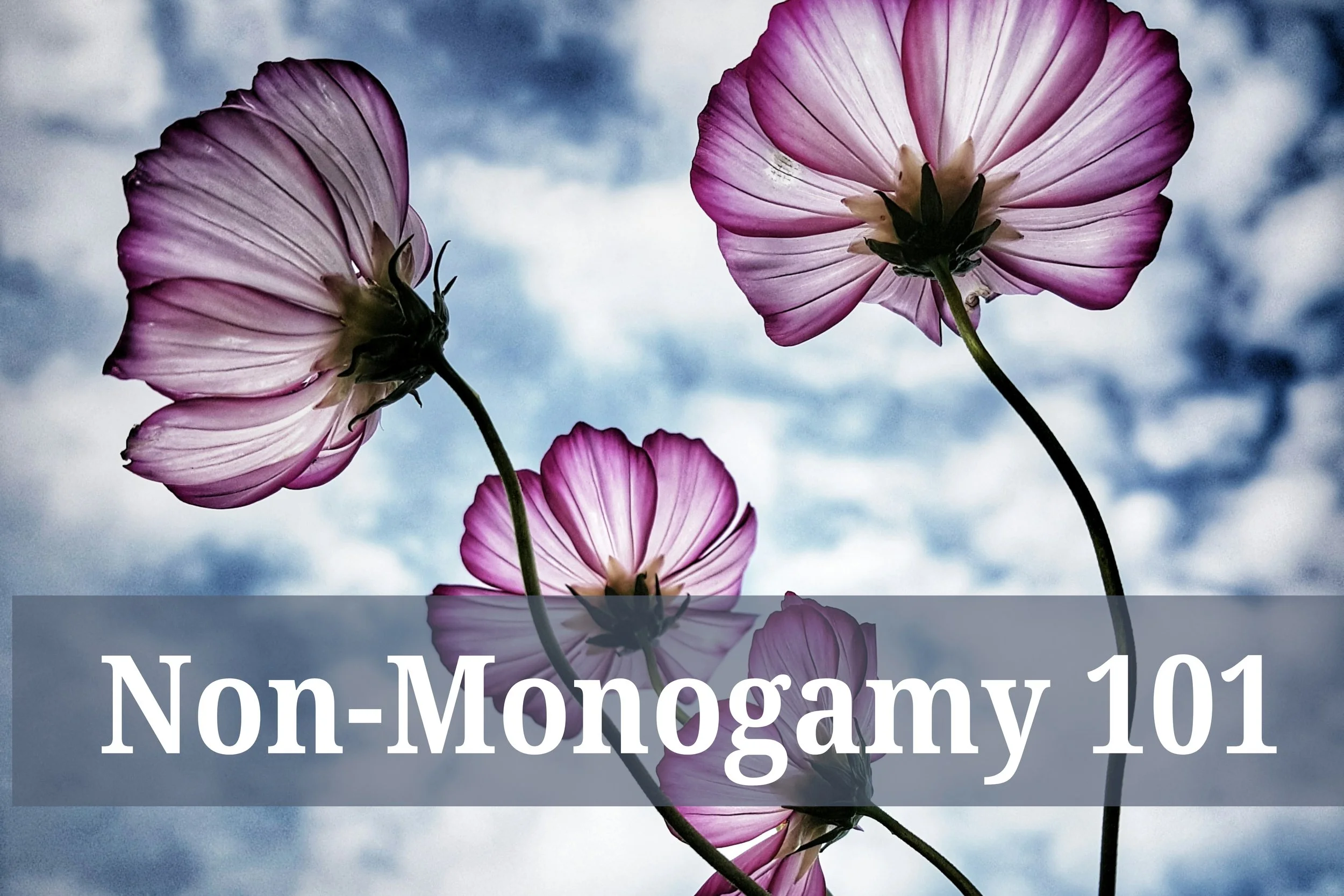 Non-Monogamy 101