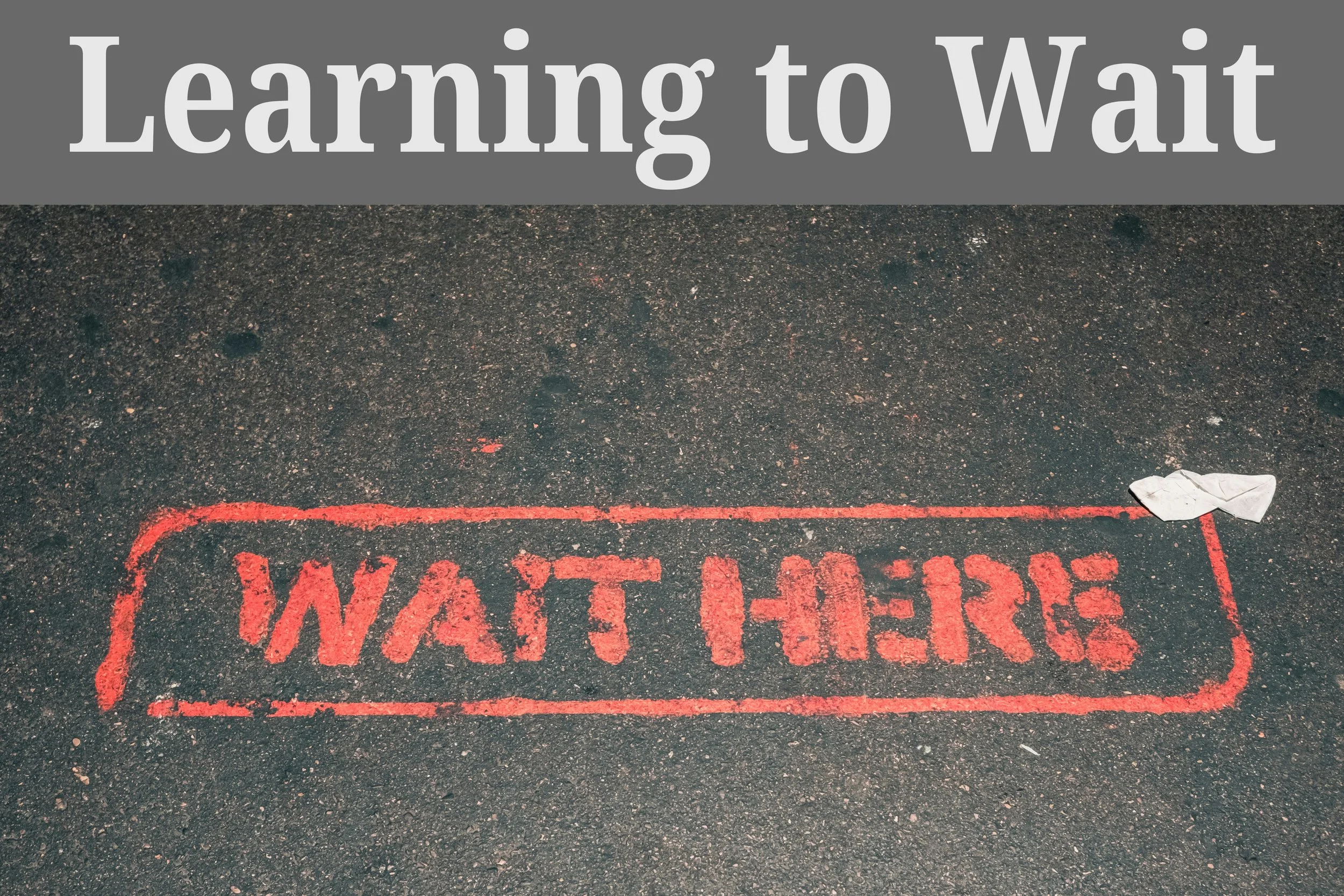 Learning to Wait